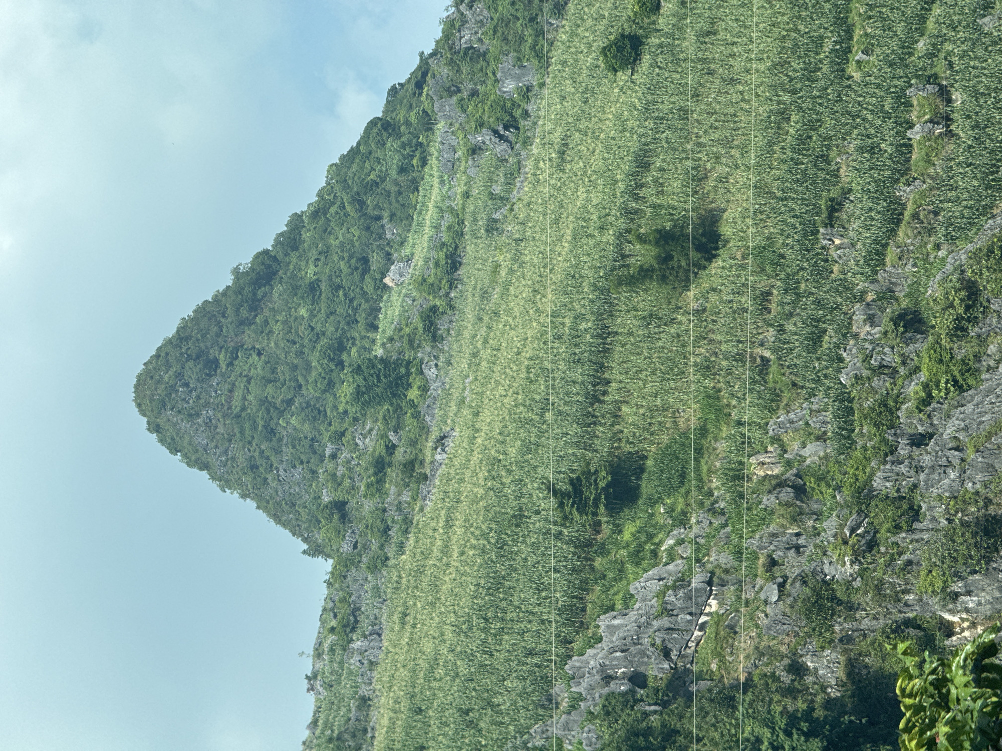 The image depicts a mountain in Đường Thượng Commune, Vietnam. The mountain is covered in green vegetation, with some rocky areas. The sky is light blue with some clouds. There are some lines across the images.