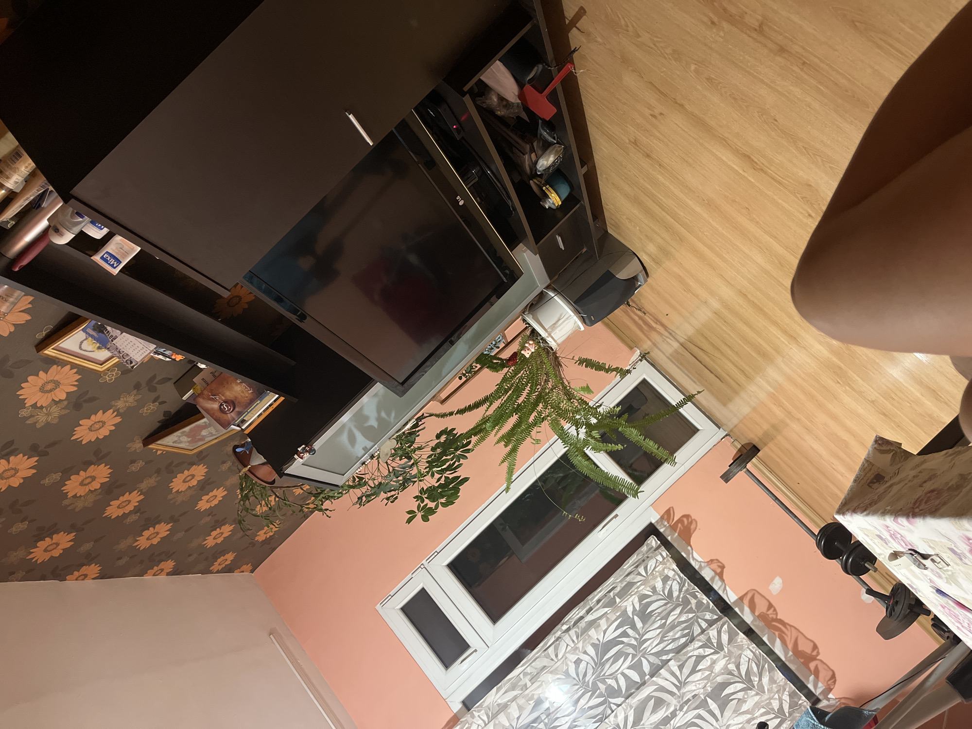 The image depicts an indoor scene, likely a living room. The perspective is from a low angle, tilted diagonally. The room features peach-colored walls, one of which is adorned with a brown wallpaper featuring an orange floral pattern.
Dominating the right side of the image is a dark brown entertainment unit. On top of the unit, there are various items including bottles, framed pictures, and books. A television set is mounted on a shelf within the unit, with its screen reflecting the room. Below the television, the entertainment unit has shelves containing various objects, including what appears to be a red hammer.
To the left of the entertainment unit, a large white framed window with multiple panes is visible. Curtains with a grey leaf pattern hang over the window. In front of the window and slightly to the left of the entertainment unit, there is a potted plant with green foliage.
On the wooden floor in the foreground, a set of dumbbells and a barbell are present, suggesting a home gym setup. A partially covered table with a floral pattern is also visible. In the bottom right corner, a portion of a person's leg is visible, indicating a person is present in the room, but their identity and actions are not fully discernible. The overall impression is of a lived-in space with elements of both relaxation and fitness.
The scene does not provide any specific visual cues that would allow for definitive identification of its location within the city of Plovdiv, Bulgaria.