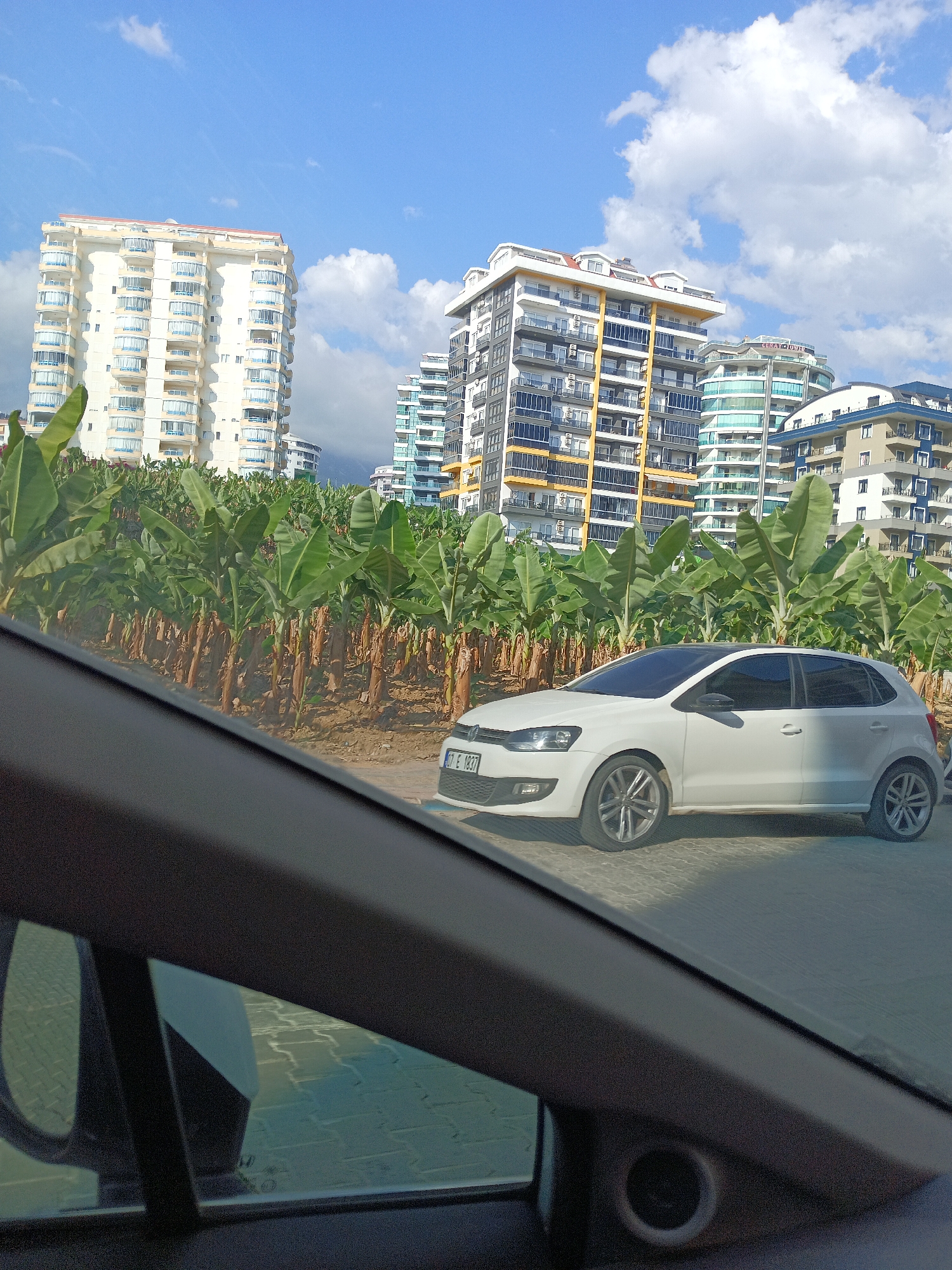 The image, taken from inside a vehicle, captures a street scene in Alanya, Turkey. In the background, several modern apartment buildings rise against a bright blue sky dotted with white clouds. The buildings vary in architectural style and color, with one prominent structure featuring a cream-colored facade and balconies. In the foreground, a row of banana trees with large green leaves lines the street. A white Volkswagen Polo car is parked on the right side of the paved road, its license plate readable as "07 E 1837". The interior of the vehicle, including a portion of the dashboard and window, is visible in the lower part of the frame, suggesting the photograph was taken from the driver's or passenger's seat. The ground is paved with interlocking bricks.