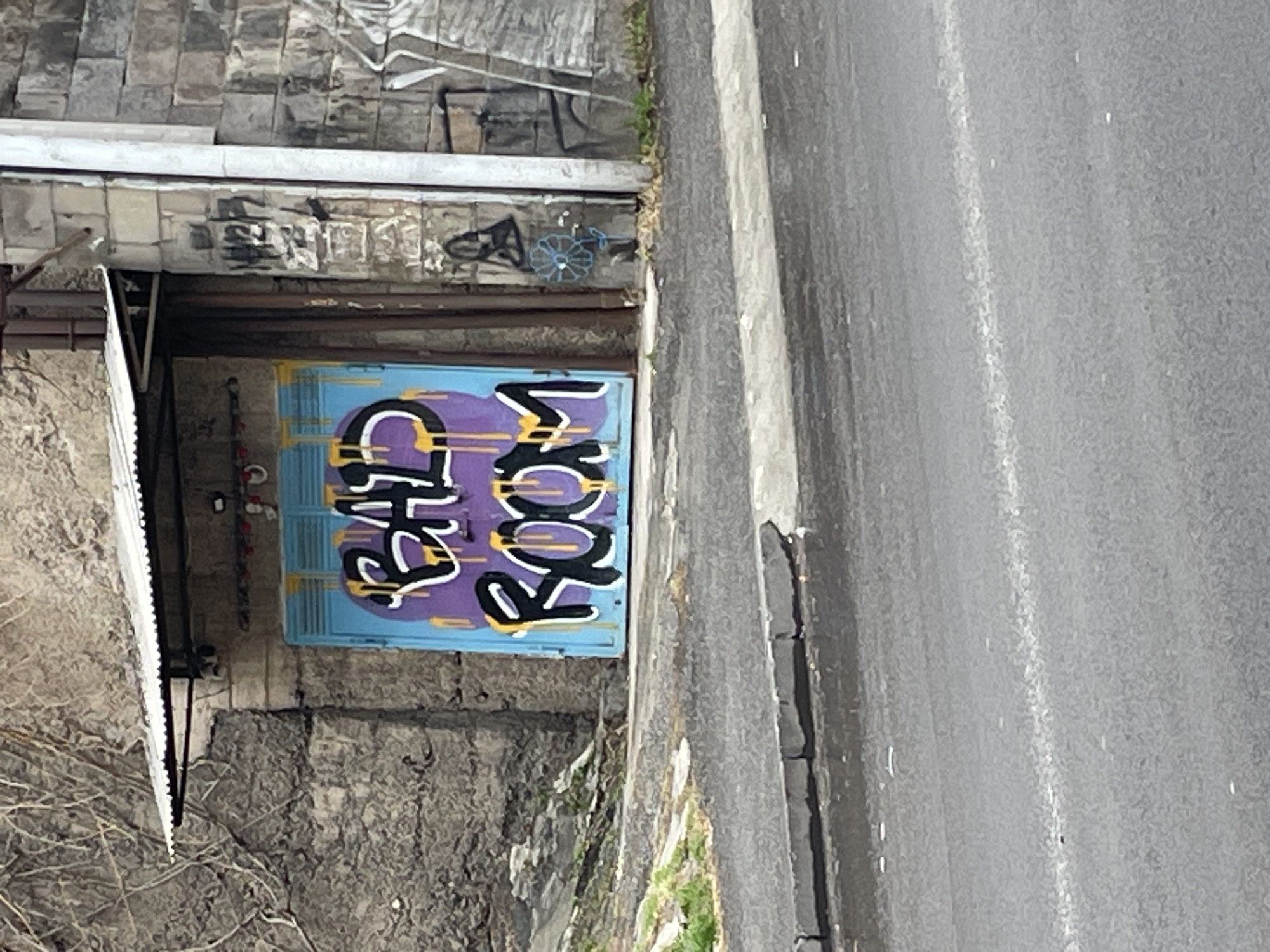 The scene depicts an exterior urban environment in Yerevan, Armenia. A blue two-panel metal door or gate, located centrally, is extensively covered with graffiti. The graffiti consists of the words "BAD ROOM" in stylized black letters with white outlines, set against a purple spray-painted background, with yellow paint drips emanating from the letters. This door is set into a dark gray, roughly textured concrete or stone wall. Above the door, a corrugated metal awning extends, beneath which two white security cameras and some red and white wiring or conduit are mounted. To the left of the door, the wall is partially covered by dense, dry, entangled vine-like growth. To the right, a lighter-colored block wall displays additional graffiti, including a thin blue outline of a flower and abstract black shapes, with a white vertical drainpipe running down its surface. In the foreground, an asphalt road runs horizontally, separated from the building's base by a concrete curb and a narrow strip of dirt with sparse green vegetation. The road surface exhibits wet patches, and a faint white lane marker is visible further into the asphalt.