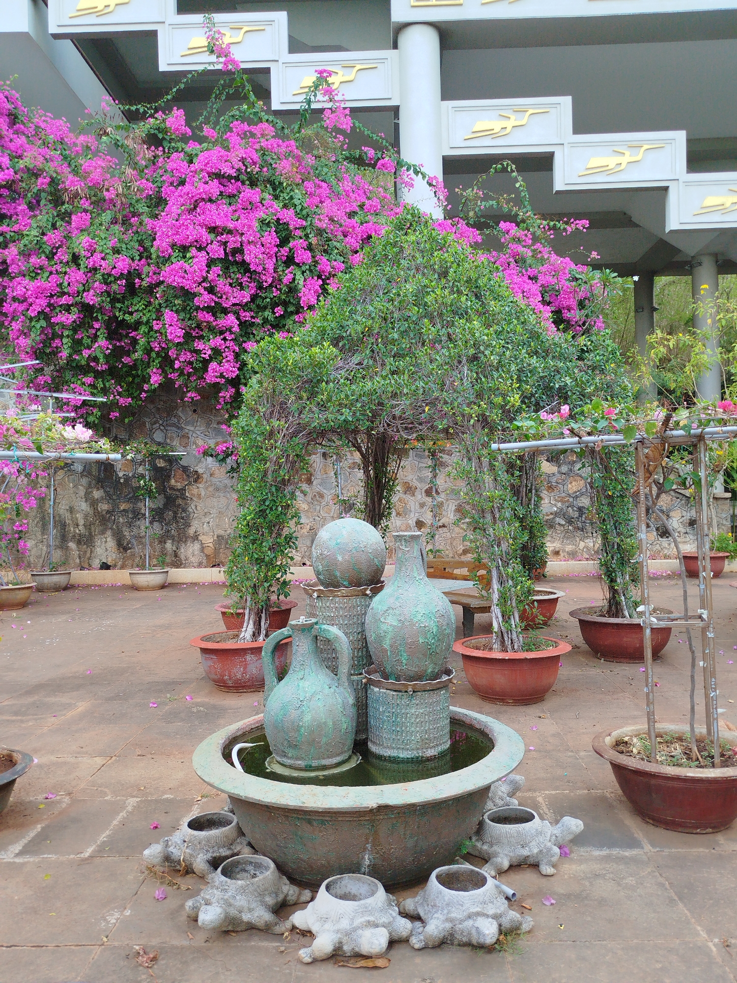 The image depicts a garden scene with a central water fountain in what is likely a public or private garden setting in Ho Chi Minh City, Vietnam. The fountain consists of a large, weathered, circular basin with multiple ceramic turtle-shaped bases. Inside the basin are various stacked ornamental pots and a jug-shaped vessel, all displaying a greenish-blue patina, possibly from age or intentional weathering. The fountain contains water.
Behind the fountain, the scene is framed by potted plants, some trained to form arched shapes. A large bougainvillea bush with vibrant pink flowers covers a stone wall, adding color to the scene. Additionally, potted plants in terracotta pots are scattered around the paved area.
In the background, there is a partially visible building structure with white columns and geometric gold designs. The overall environment suggests a tranquil and manicured garden space.