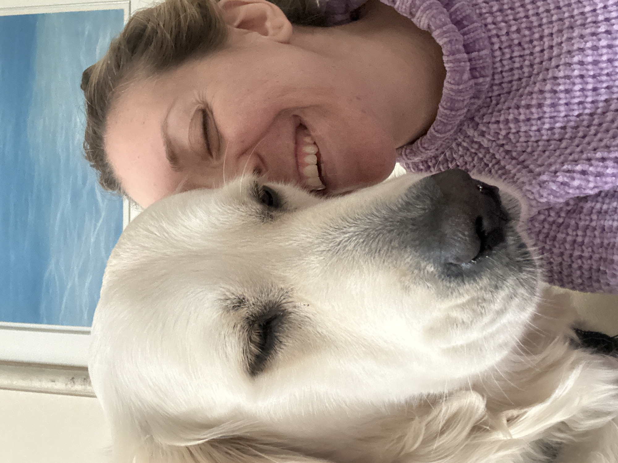 A close-up indoor portrait depicts a human female and a large, long-haired dog. The human, positioned on the right, has light skin, light brown hair, and wears a purple textured knit sweater. Her eyes are closed in a squint, and her mouth is open in a wide smile. The dog, appearing to be a Golden Retriever with white/cream fur, occupies the left and central frame. Its head is pressed against the human's face, with its eyes also closed or heavily squinted. The interaction between the two subjects appears close and calm. In the upper background, a section of a framed artwork with abstract light blue and white wavy patterns is visible, alongside a white wall or door frame. The scene is set in an indoor location within the city of London, United Kingdom.