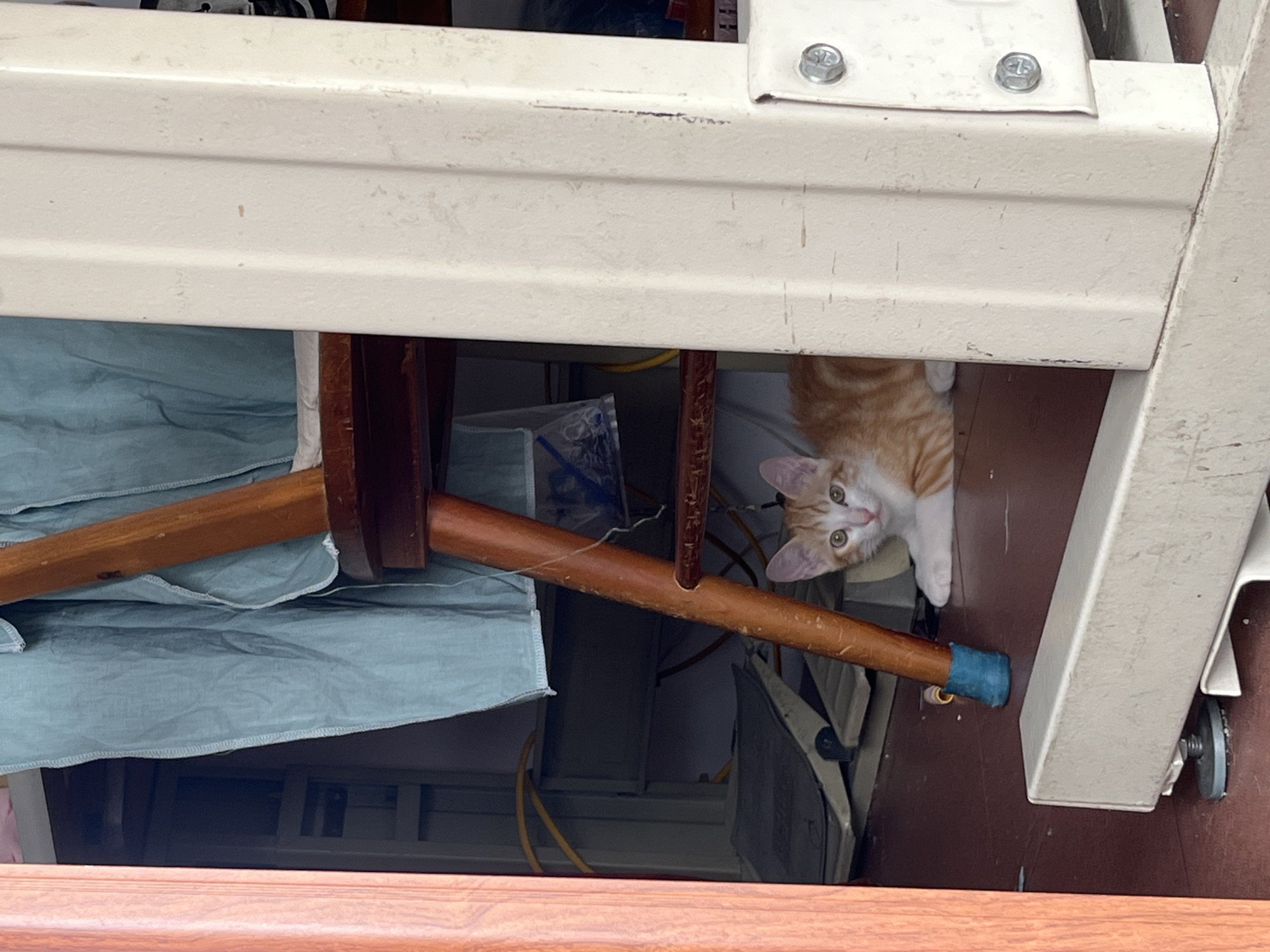 A ginger kitten is lying on a brown surface beneath a white structure. The structure appears to be a table or shelf. Behind the kitten are wooden and fabric items, and there are also yellow cables visible. The image was taken in Bac Nha Trang Ward, Vietnam.