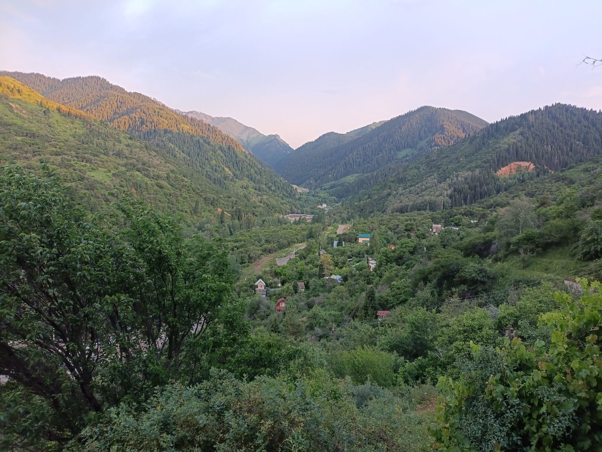 This media file captures a serene, natural landscape scene at Koklaisai, Kazakhstan, likely during the late afternoon or early evening. The image is dominated by lush green mountainsides covered in dense coniferous and deciduous trees, suggesting a temperate climate and perhaps a mountainous region. The sun casts a warm, golden light on the upper slopes of some mountains, creating a beautiful contrast with the shadowed valleys.
In the middle ground, a small village or settlement is nestled among the trees. Several houses with colorful roofs, ranging from red to blue and green, are visible, indicating human habitation in this otherwise wild setting. A winding road or path can be seen leading through the settlement and disappearing into the valley.
The foreground is filled with the dense foliage of trees and bushes, some of which appear to be deciduous with broad leaves. This creates a sense of depth and immerses the viewer in the natural environment. The sky above is a soft gradient of pale blue and pink, further hinting at the time of day being around sunset or sunrise.
The overall mood is peaceful and tranquil, evoking a sense of escape and natural beauty. There are no people or specific activities clearly depicted, making it a landscape-focused image. The location cues, such as the mountainous terrain and vegetation, combined with the provided context, point to a rural or semi-rural area in Kazakhstan. There is no visible text in the image.