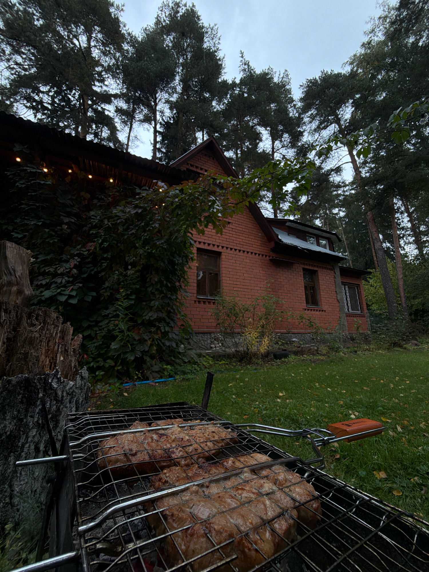 In Udelnaya, Russia, a brick house is situated in a wooded area, with tall pine trees surrounding it. The house has a dark roof and multiple windows. In the foreground, a barbecue grill is set up on a grassy lawn. The grill contains pieces of meat cooking over a fire. A tree stump is visible to the left of the grill, and ivy covers a portion of the house's exterior. The sky is overcast, indicating cloudy weather.