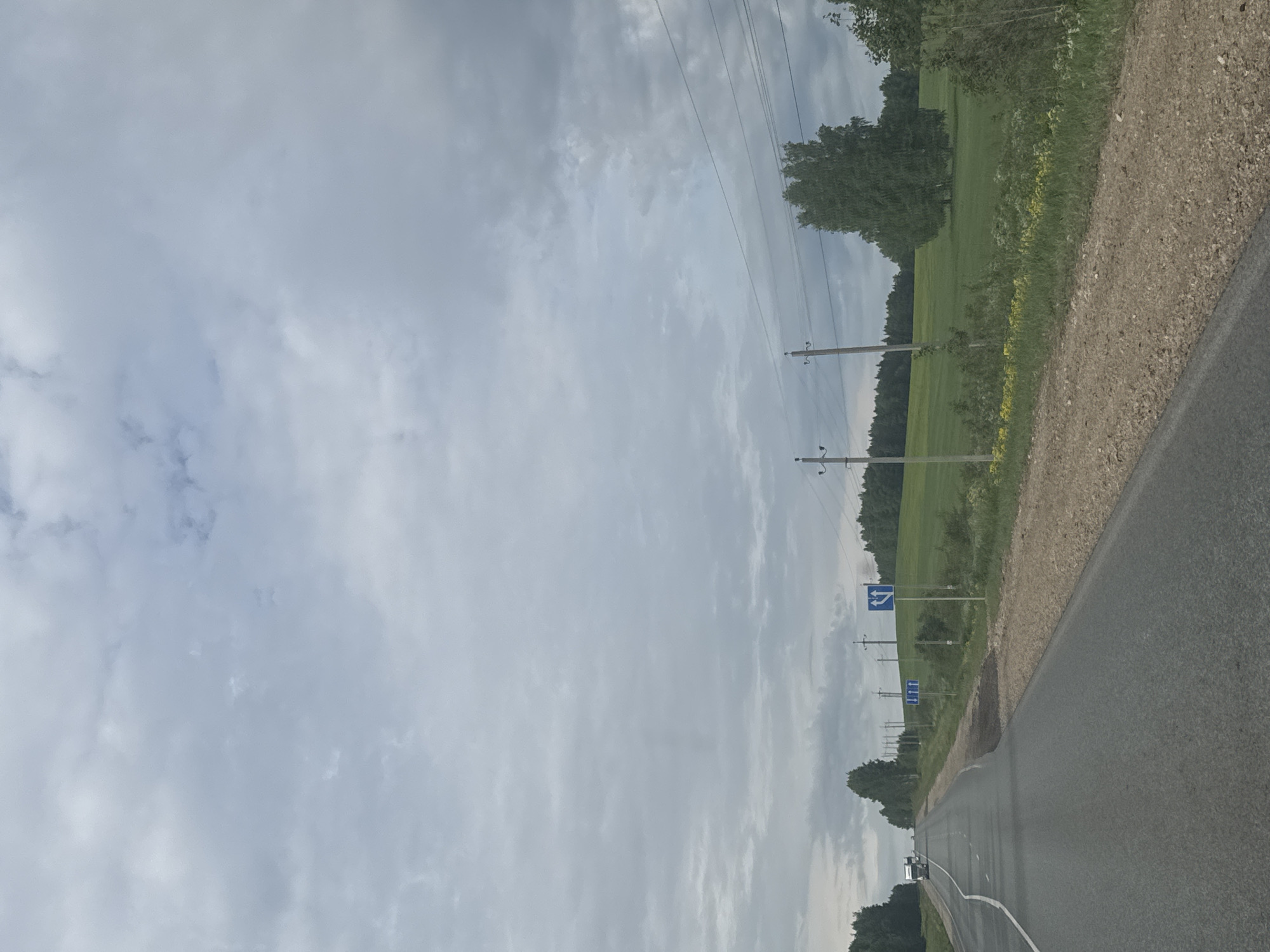 The image displays a rural or semi-rural landscape under an overcast sky. An asphalt road, with a solid white line marking its right edge, occupies the lower portion of the frame, extending into the distance. A gravel shoulder runs alongside the asphalt on its right.
To the right of the road, a vast green field stretches outwards, interspersed with patches of yellow wildflowers. Beyond the field, a dense line of trees forms the horizon, suggesting a forest or woodland area. Several wooden utility poles, strung with power lines, run parallel to the road on the right side, between the road and the field.
Two blue rectangular road signs are visible on the right side of the road. The closer sign clearly depicts a white arrow splitting to indicate a choice between continuing straight or turning right. A second, smaller blue sign further down the road also displays arrow symbols, though its details are less distinct. A white car can be seen in the far distance on the road, near the horizon, with another white vehicle (possibly an SUV) closer but still distant.
The upper part of the image is dominated by a cloudy sky, filled with varying shades of light grey and white, indicating an overcast day with diffused light. The scene is static, portraying a quiet countryside setting, likely in the area of Шумиха, Russia. No specific activities or events are taking place.