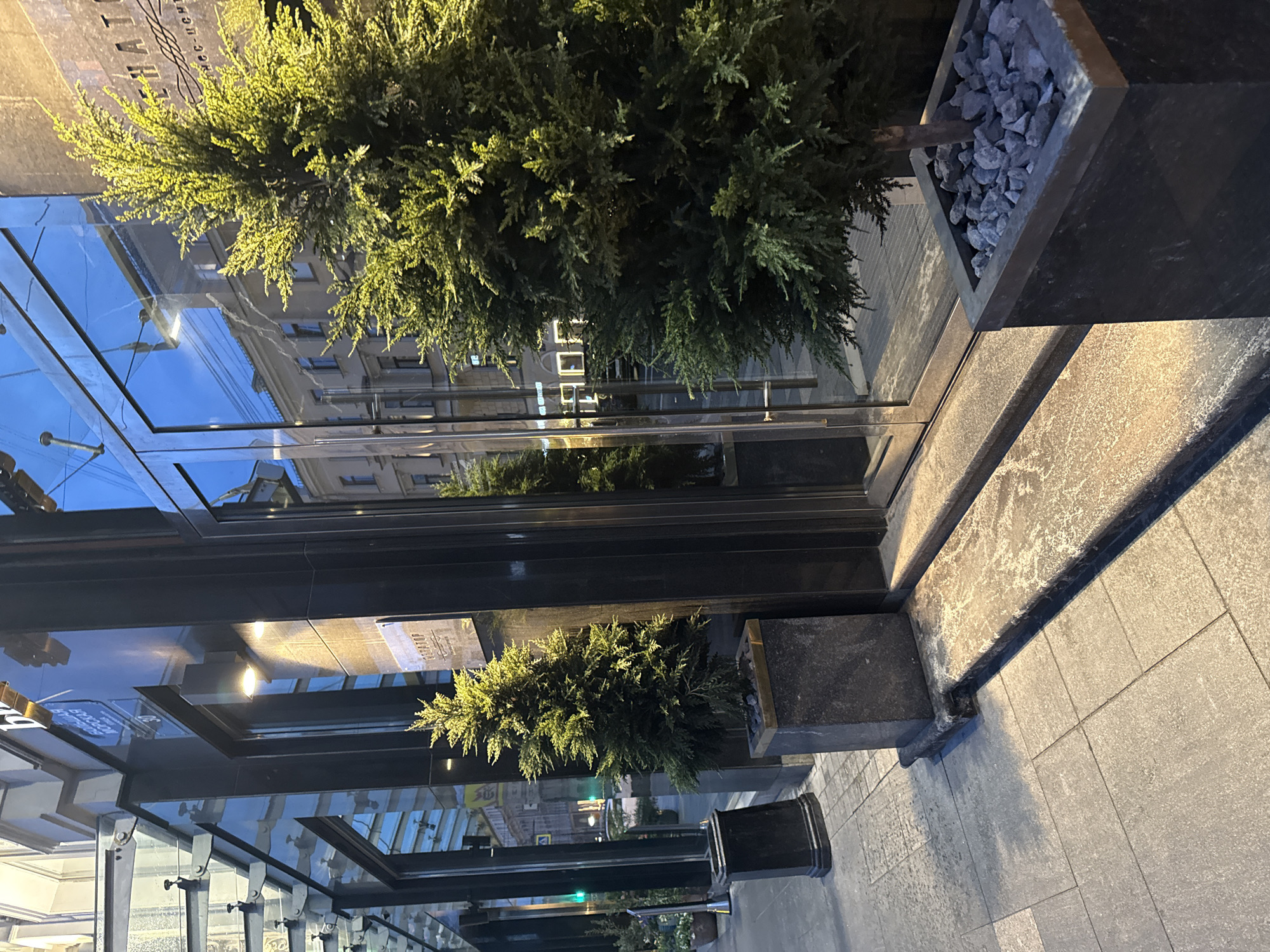 The image depicts the facade of a building in Saint Petersburg, Russia. Two potted coniferous trees stand on the sidewalk in front of the building's entrance. The building has large glass doors and windows, reflecting the street and the sky. A sign above the entrance reads "СЕНАТОP", indicating a business or organization. The sidewalk is paved with large stone tiles. The overall scene suggests an urban environment, possibly an office building or a commercial establishment, during the evening or early morning, given the ambient lighting and the reflective surfaces.