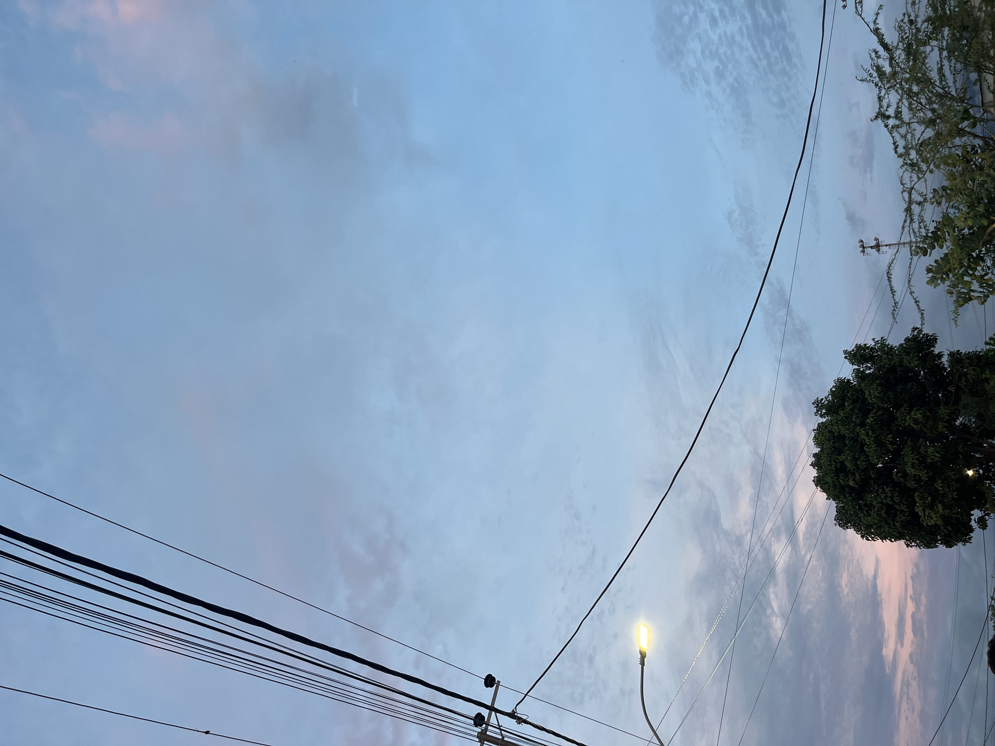 This is a ground-level, upward-facing photograph of the sky in Juan Griego, Venezuela, during twilight. The sky is a gradient of soft blue with scattered clouds tinged with pink and gray. A prominent utility pole with multiple black wires stretches diagonally across the upper left quadrant of the frame. A street light with a warm yellow glow is illuminated on the left side, casting light onto the wires. Below the street light, a large, dense green tree occupies the lower-middle section of the image. To the right of the tree, another, sparser tree with lighter green foliage is visible. The scene is dominated by the expanse of the sky, with the man-made elements of wires and the street light contrasting with the natural elements of the trees and the sky.