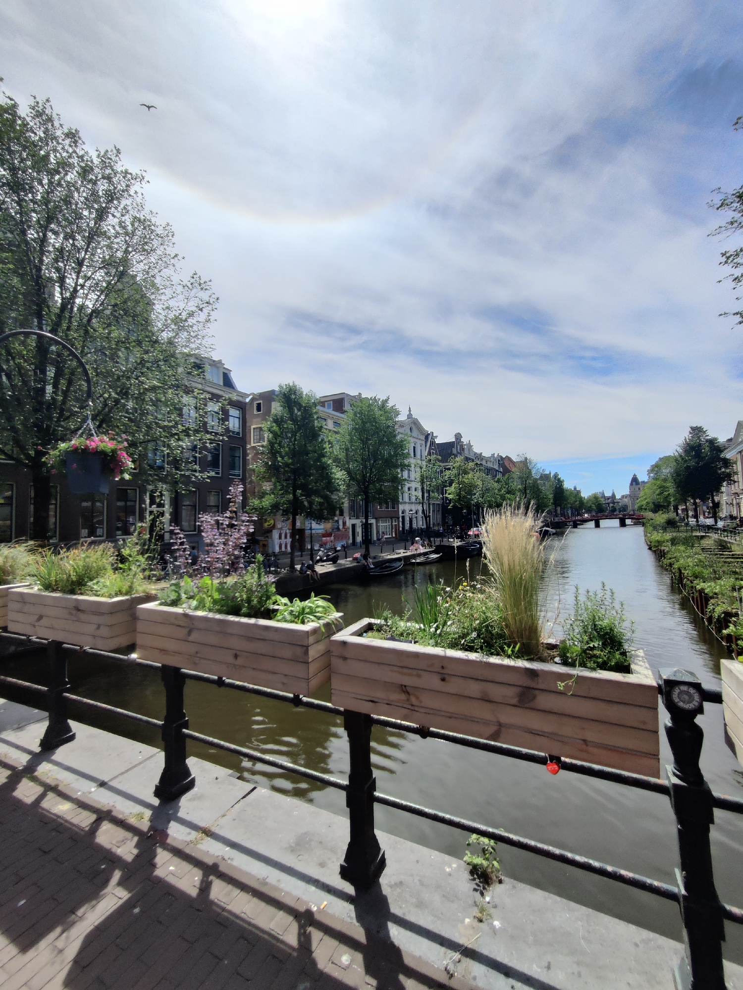 This image captures a scenic canal view in Amsterdam, Netherlands. The scene is dominated by the canal itself, with boats moored along its banks. On either side of the canal, traditional Dutch canal houses with gabled roofs are visible, interspersed with lush green trees. In the foreground, several wooden planters filled with various plants and grasses line the edge of the walkway, adding a touch of greenery to the urban landscape. The sky above is partly cloudy with a halo effect visible, possibly indicating a sun dog or a similar atmospheric phenomenon. A single bird is seen flying in the upper left portion of the sky. The overall impression is one of a tranquil and picturesque canal scene typical of Amsterdam.