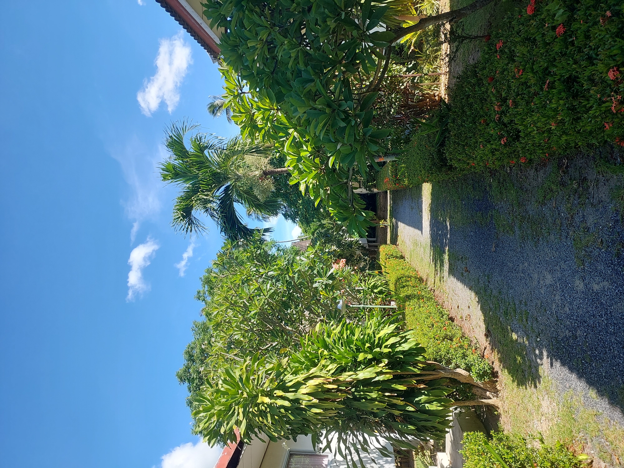 The image depicts a pathway in Baan Mae Nam, Thailand, lined with lush vegetation. The pathway is covered in dark gravel and is bordered by neatly trimmed green bushes on both sides, with some flowering plants interspersed. Tall trees, including palm trees, and leafy bushes flank the pathway, creating a sense of enclosure. On the left, a white building with a reddish-brown roof is partially visible. The sky is a vibrant blue with scattered white clouds, indicating a sunny day. The scene is illuminated by natural sunlight, casting shadows on the ground. There are no people or animals visible in the image.