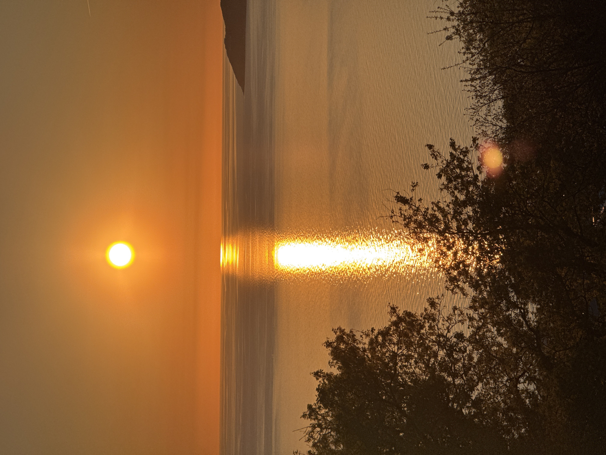 The image captures a sunrise over the Adriatic Sea in Blizikuće, Montenegro. The sun, a bright orange orb, sits low in the sky, casting a shimmering reflection on the water's surface. A silhouetted promontory extends into the sea on the left. Dark tree branches frame the right side of the image.