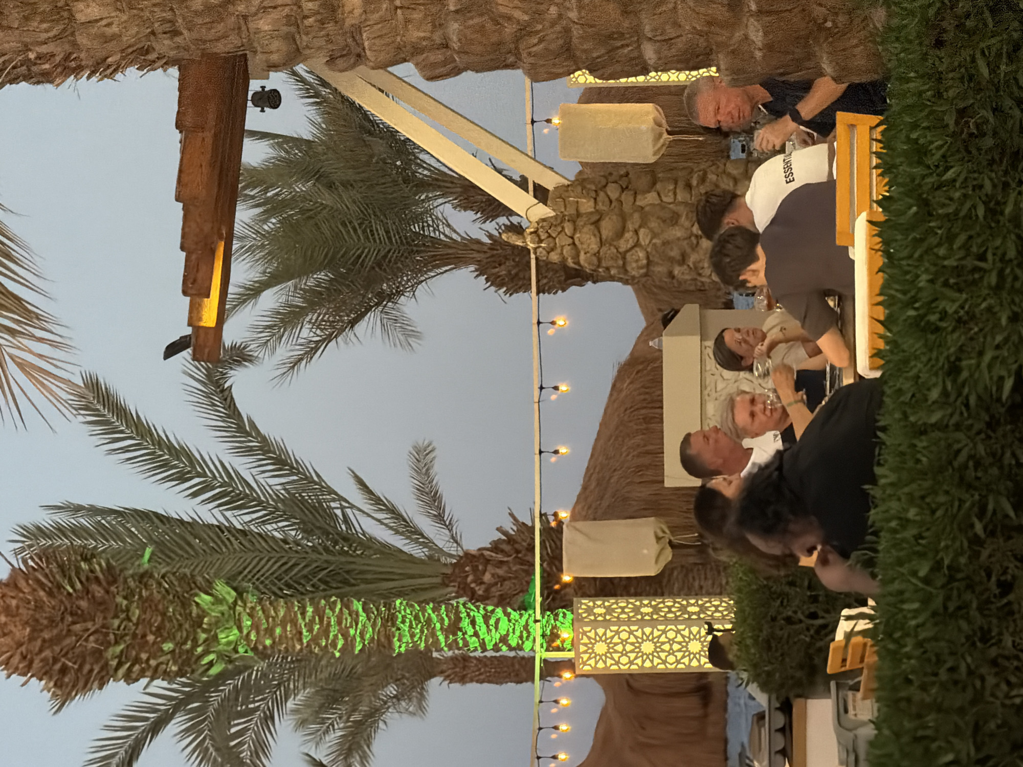 The image depicts an outdoor dining scene at dusk in Sharm El Sheikh, Egypt. A group of eight individuals, appearing to be adults, are seated around a table, engaged in conversation and holding drinks. The setting is tropical, characterized by several palm trees, including one illuminated with green lights. String lights with yellow bulbs are visible above the dining area. The architecture includes thatched roofs and decorative screens. The overall atmosphere suggests a relaxed evening gathering at a restaurant or resort.