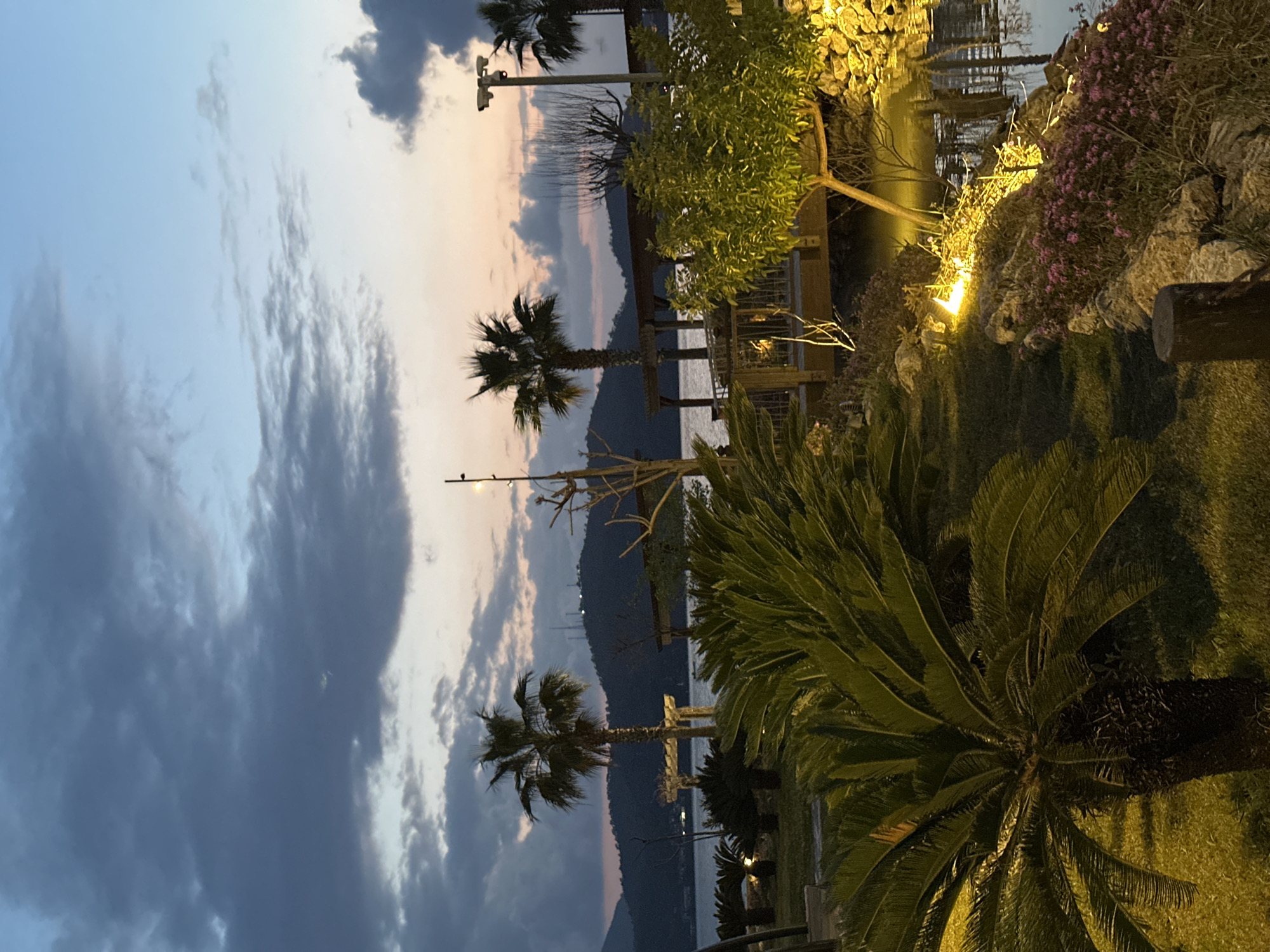 The image depicts a landscaped waterfront area within the city of Fethiye, Turkey, captured during the twilight hours. The sky exhibits dark grey, stratified clouds in the upper portion, transitioning to a clear light blue and a faint orange-pink hue near the horizon. A significant body of water, consistent with Fethiye Bay, occupies the mid-ground, reflecting the sky's colors and adjacent structures. Distant mountains are silhouetted across the bay, displaying several small, bright lights on their slopes.
In the immediate foreground, dense clusters of cycad plants with broad, dark green fronds are prominently visible, illuminated by warm yellow artificial ground lights. These lights also highlight a rocky embankment along the lower right, featuring patches of grass and purple-pink flowering plants. Several tall palm trees are interspersed throughout the scene, some partially silhouetted against the sky. A wooden walkway or pier with a railing extends over the water on the right side, leading to a wooden pergola-like structure. Additional bare trees and shrubs are present within the landscaped zones. Tall streetlights, equipped with multiple luminaires, are positioned on the far right and left edges of the frame. No individuals, specific actions, or interactions are discernible.