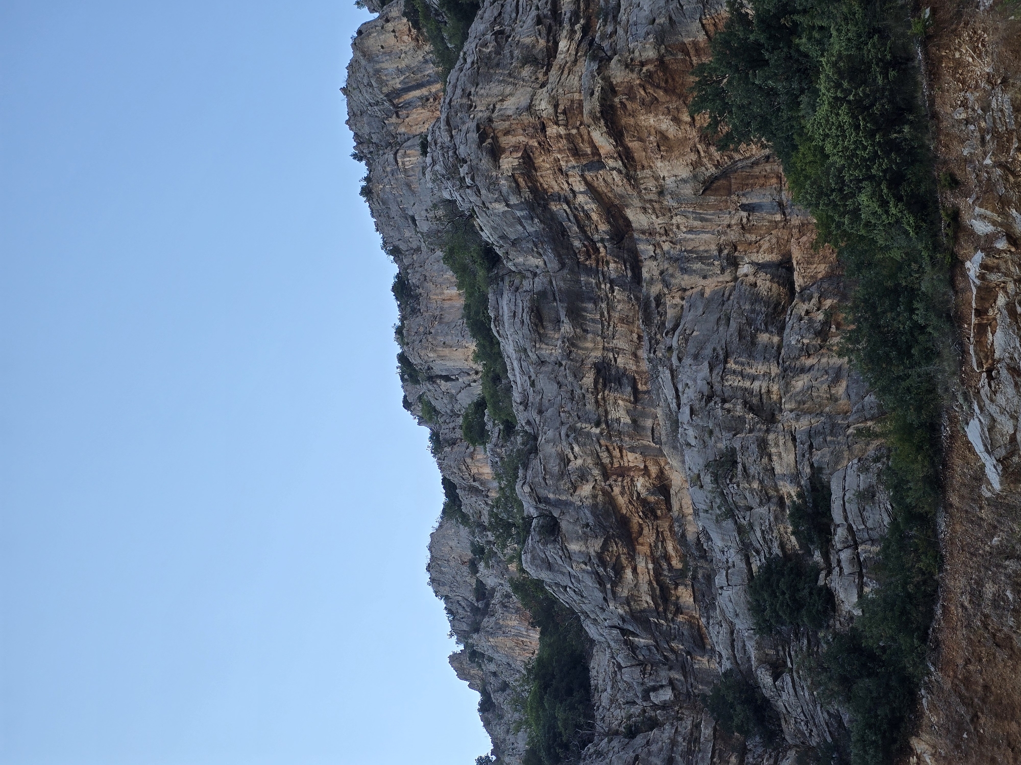 The image shows a steep, rocky cliff face with sparse vegetation. The cliff is composed of layers of grey and brown rock, with evidence of erosion and weathering. Patches of green trees and bushes are growing on ledges and at the base of the cliff. The sky above is clear and blue. The scene appears to be a natural landscape, likely a mountain or canyon, located in the vicinity of Podgorica, Montenegro, possibly within the Skadar Lake National Park area, known for its rugged terrain and natural beauty. There are no people or man-made structures visible in the image.