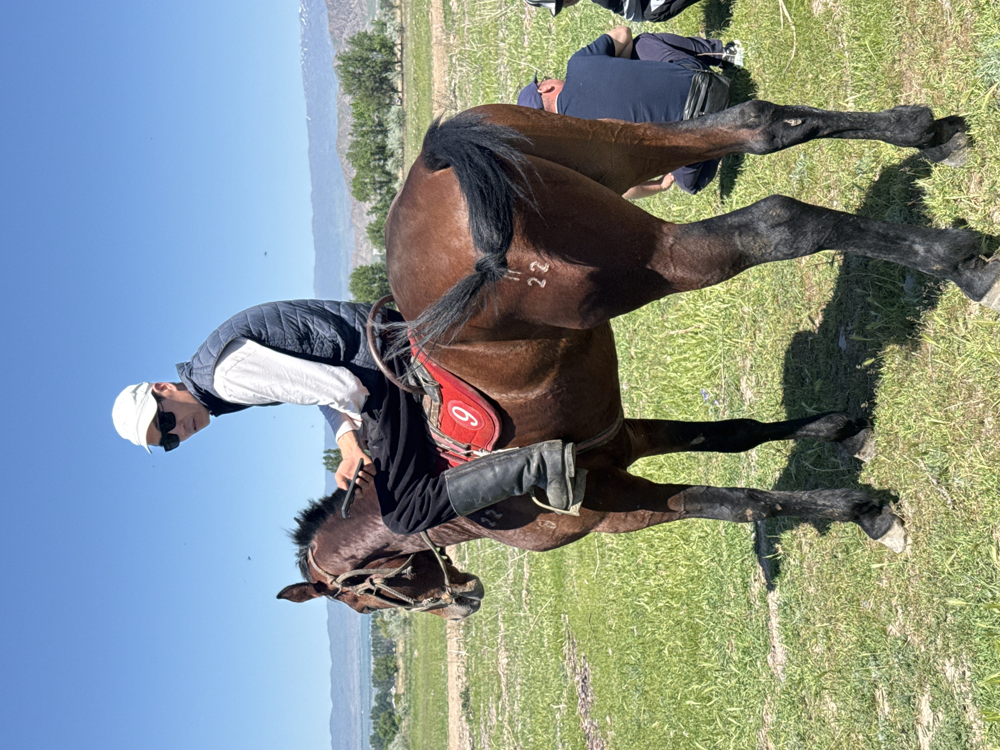 A man in a white hat and sunglasses is sitting on a brown horse in a grassy field. The horse has the number "22" marked on its hindquarters and is wearing a red saddle pad with the number "6" on it. The man is wearing a white shirt, a dark vest, and black boots. He is holding a cell phone in his hand. In the background, there are mountains and trees. Some people are lying on the grass behind the horse. The photo was taken in Tokmok City, Kyrgyzstan.