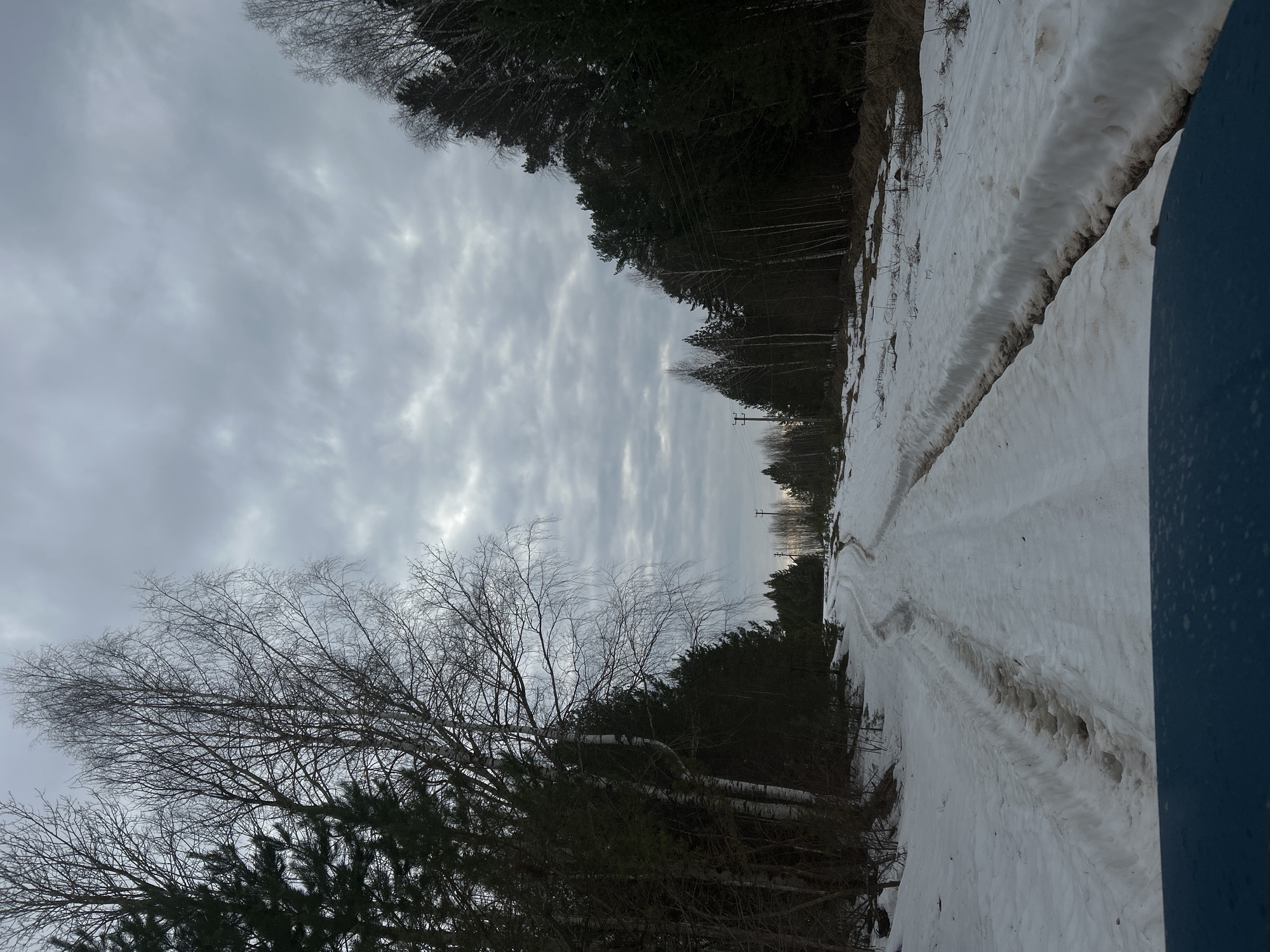 The image depicts a snow-covered dirt road flanked by trees and a cloudy sky. The road shows tire tracks, indicating vehicle passage. The trees on either side are a mix of deciduous trees with bare branches and coniferous trees. The presence of snow suggests a winter setting. The image appears to be taken in a rural or semi-rural environment. Given the context of Уральское, Russia, the landscape is likely located in this area.