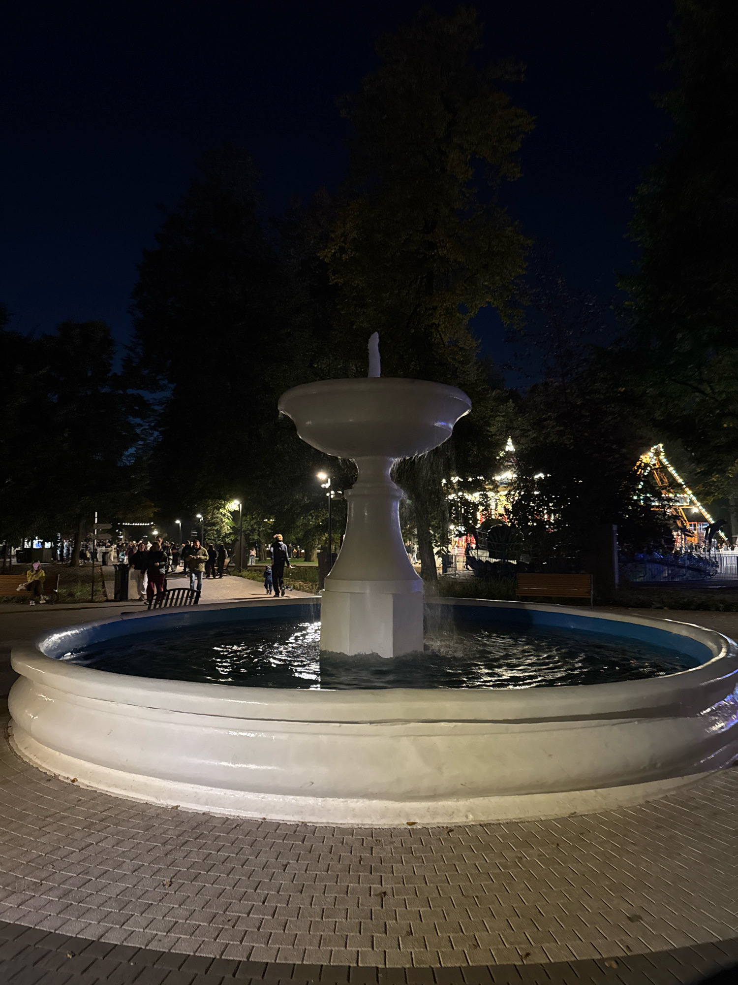 A fountain is the central subject of the image, illuminated by artificial light at night. The fountain has a multi-tiered structure with water spraying upwards. It is situated in a paved area, possibly a park or public square, with a circular pool. Surrounding the fountain are trees and a pathway where several people are walking. In the background, there are amusement park rides, indicated by colorful lights and structures. The sky is dark, suggesting nighttime. The image was taken in the city of Tver, Russia.