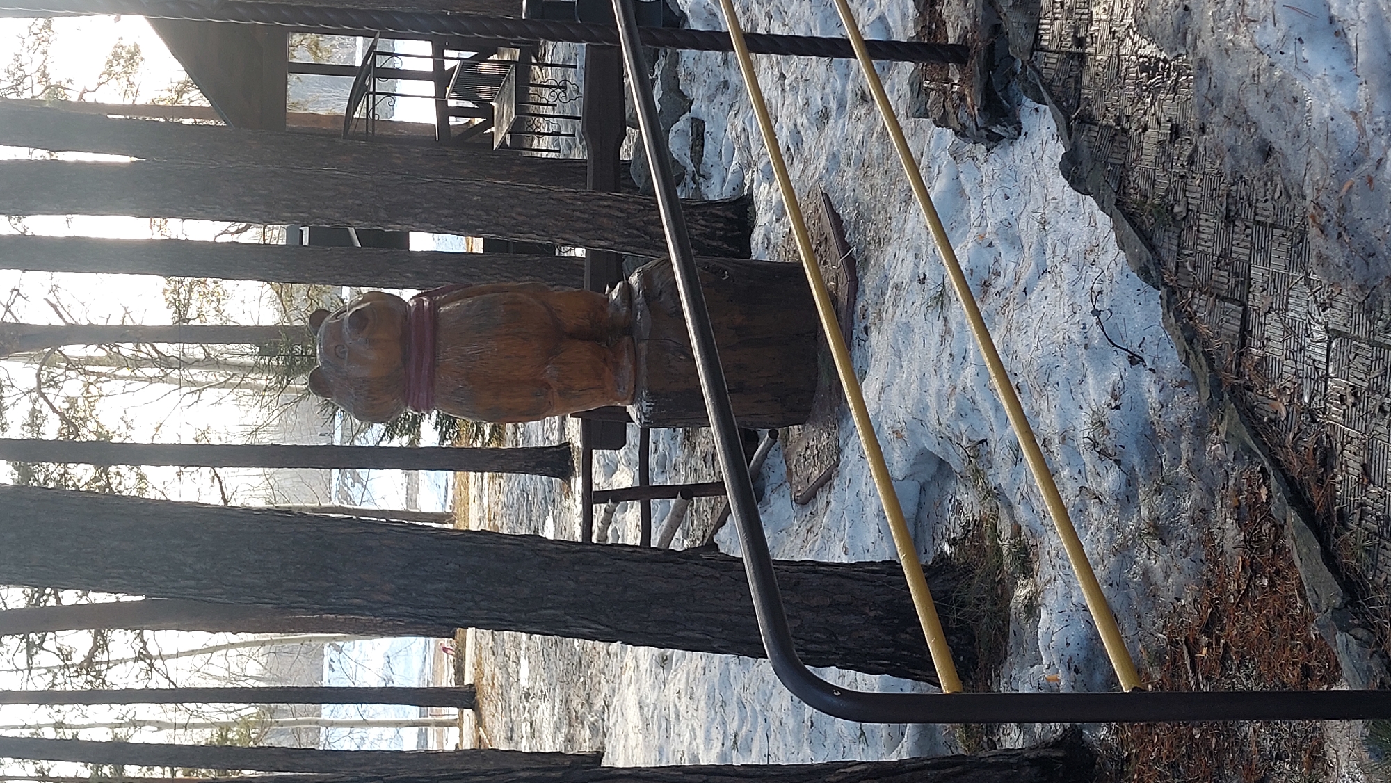 This outdoor image, likely taken in winter near Novosibirsk, Russia, features a wooden bear sculpture wearing a red scarf. The sculpture is positioned on a tree stump amidst snow-covered ground and bare trees. A metal railing and wooden steps are visible in the background. The ground cover is a combination of snow, dirt, and some patterned metal, perhaps walkway covering. The bright sky suggests it's a sunny day.