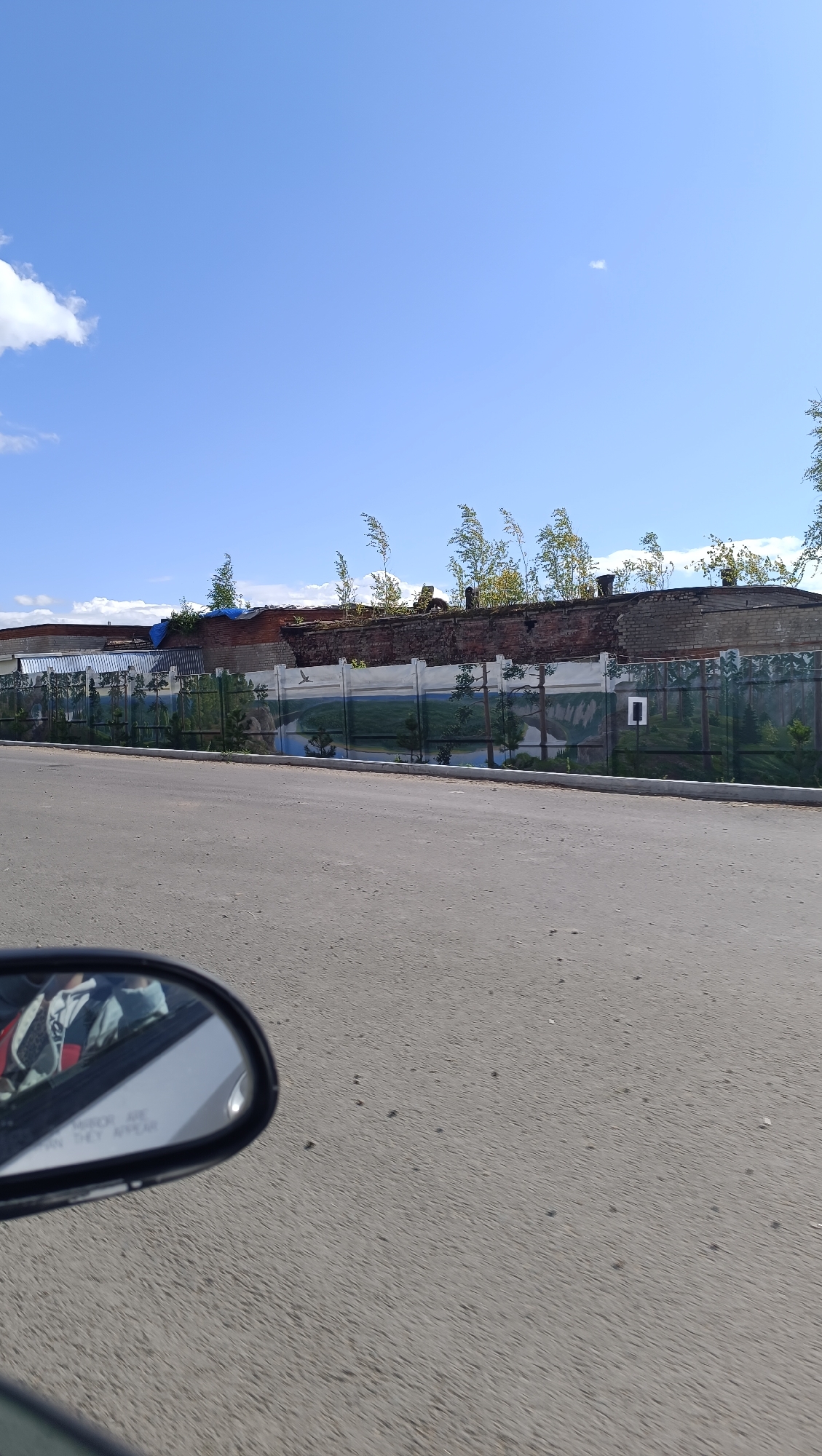 The image depicts a street scene in Chaikovsky, Russia, on a clear day with a blue sky and scattered clouds. In the foreground, a portion of a car's side mirror is visible, reflecting a person wearing a jacket. The road surface is asphalt. Beyond the road, a low fence with painted murals of a landscape featuring trees, a body of water, and a bird in flight runs parallel to the street. Behind the fence, a weathered brick wall extends, with some vegetation growing on top. The wall appears to be part of an older building, possibly industrial, with some sections showing signs of disrepair, including a blue tarp covering part of the roof. The overall impression is of a street bordering a section of the city that combines modern infrastructure with older, perhaps repurposed, buildings.