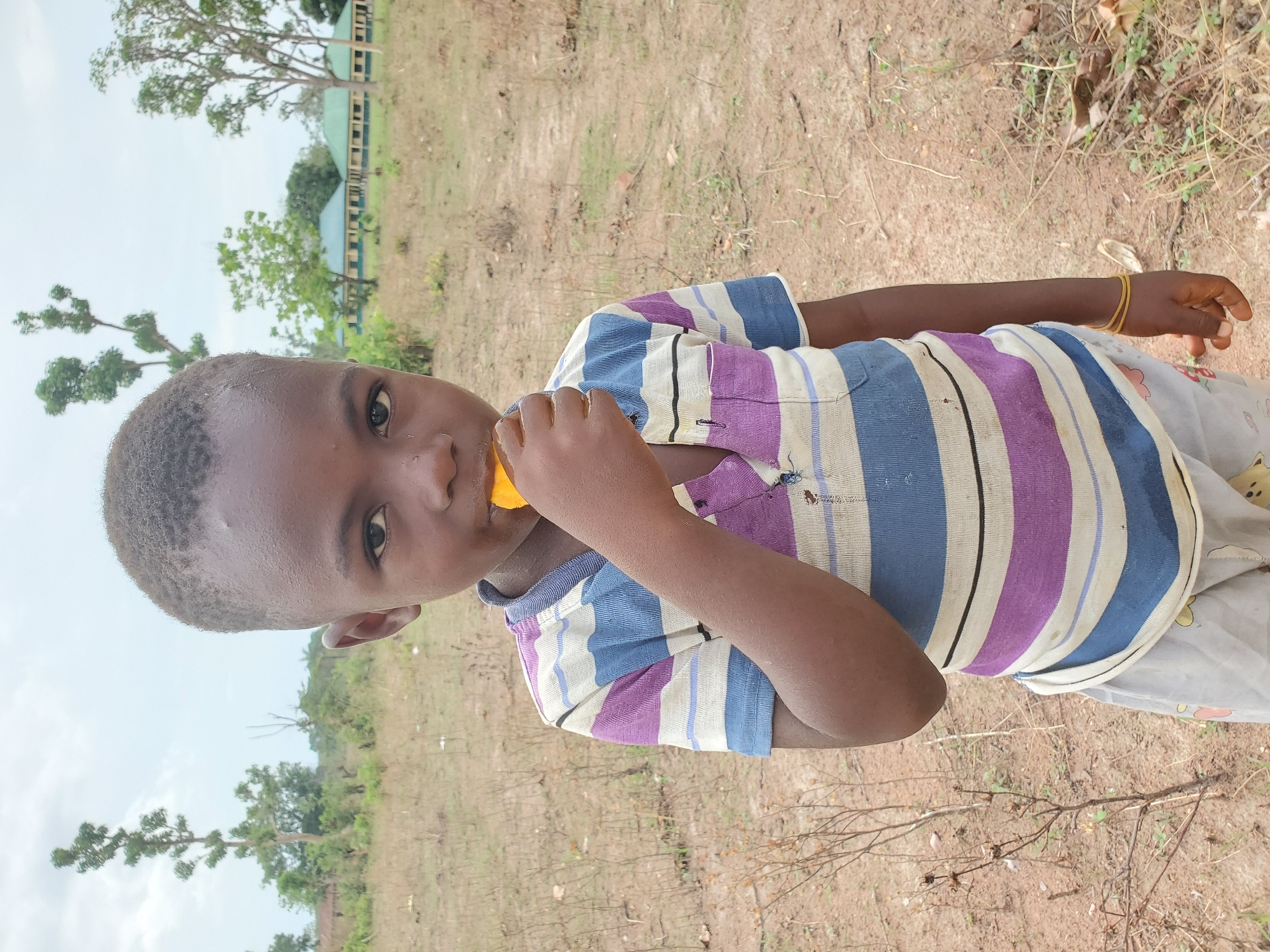 This is an outdoor portrait featuring a young Black child, likely a boy, looking directly at the camera. He has short, dark hair and a slightly shiny, possibly sweaty, face. He is wearing a short-sleeved shirt with horizontal stripes in shades of blue, purple, white, and black. On his right wrist, he has two yellow elastic bands.
The child is holding a small, orange-yellow object to his mouth, appearing to eat or drink from it; the object resembles a piece of fruit or candy. The setting is a bright, clear daytime with a light, hazy sky. The ground is dry, dusty, and reddish-brown, with sparse vegetation and scattered twigs. In the mid-ground, green trees are visible, and further back, light-colored buildings with dark roofs can be seen, suggesting an institutional setting like a school. The overall scene depicts a rural or semi-rural environment, consistent with the specified location of Mararaba, Nigeria. The child's expression is neutral and composed. There is no visible text in the image.