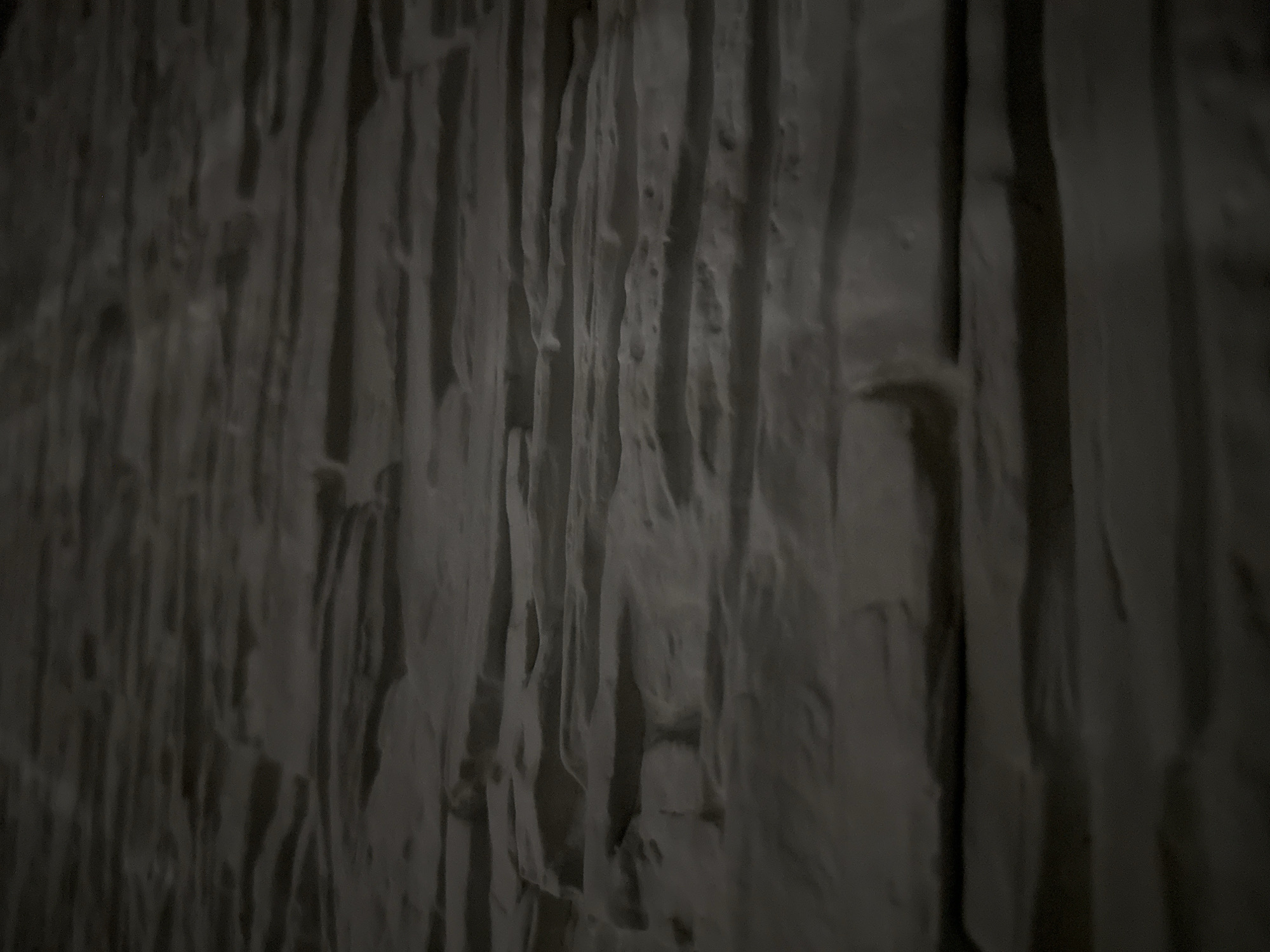The image presents a close-up, angled view of a textured surface, possibly a wall or decorative panel. The surface is characterized by pronounced, irregular vertical ridges and deep grooves, giving it a rugged, almost geological appearance reminiscent of rough-hewn stone, rock formations, or sculpted concrete.
The color palette is monochromatic, dominated by shades of dark gray to off-white. The lighting is low and directional, creating strong contrasts between the illuminated raised sections and the deep shadows within the depressions. This chiaroscuro effect emphasizes the three-dimensional nature of the texture and contributes to a somewhat somber or ancient ambiance.
The perspective is from the left, looking across the surface, with the right side of the image appearing sharper and more in focus, while the left shows a slight blur due to a shallow depth of field. There are no discernible people, objects, or specific activities taking place. No text is visible. The scene evokes a sense of raw, natural, or distressed material, possibly hinting at an underground, cave-like, or architecturally themed environment.