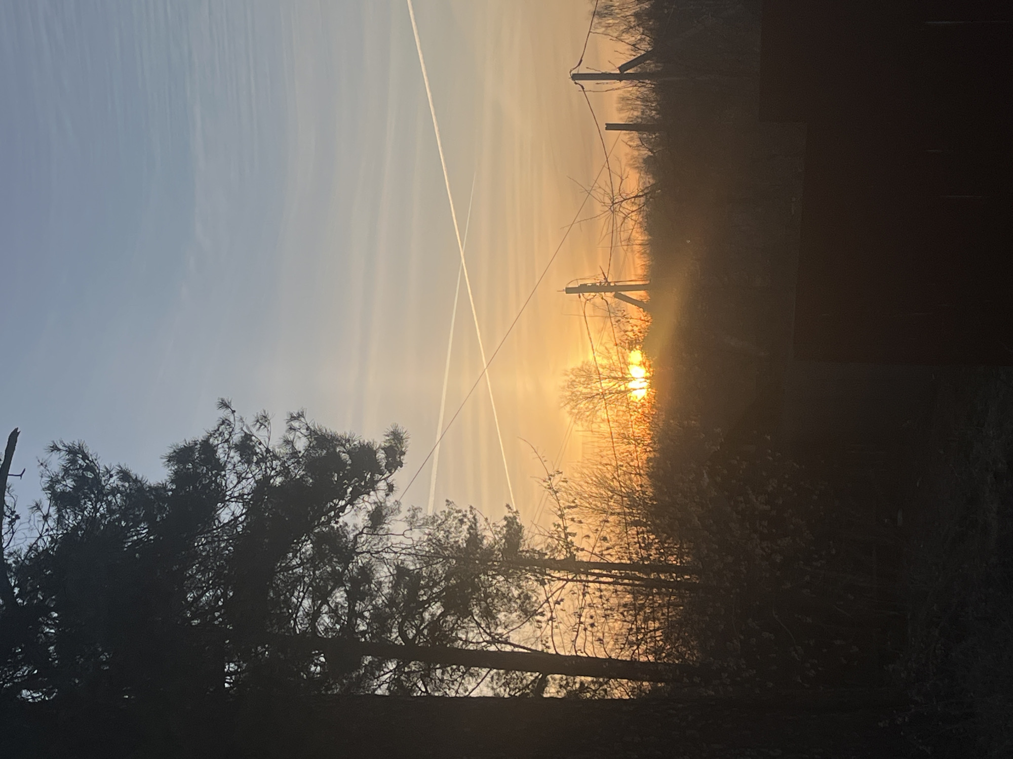 The image depicts a sunrise, possibly in Раздолье, Russia, obscured by trees and other vegetation. The sun is positioned low on the horizon, its bright light filtering through the branches. Two contrails intersect in the sky above. Power lines and poles are visible amidst the trees. The overall scene suggests a rural or semi-rural environment at dawn.