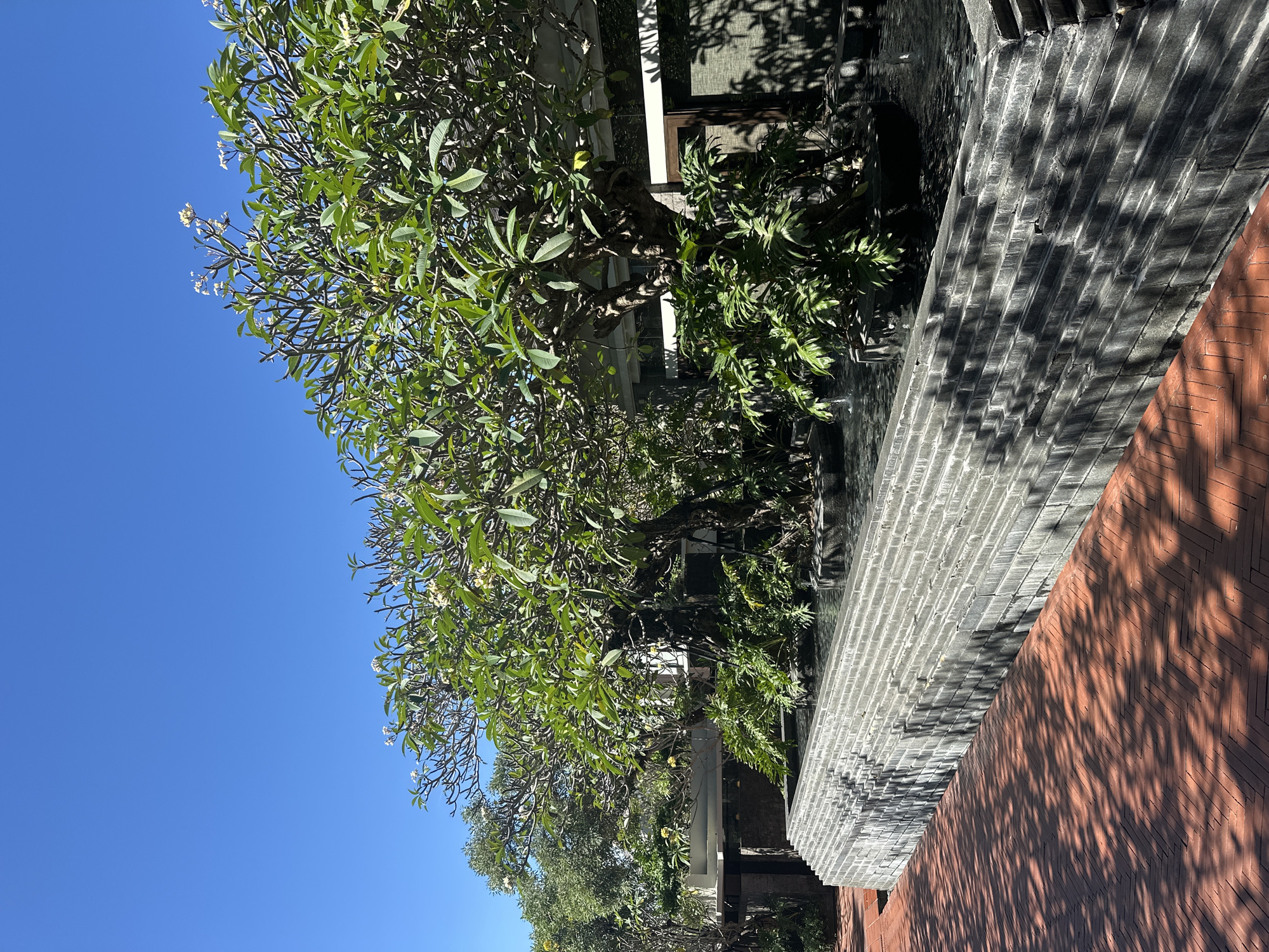 The image, taken outdoors in Kuta Selatan, Indonesia, shows a brick walkway and wall partially shaded by a tree with green leaves and small white flowers. The walkway features alternating gray and red brick patterns. Adjacent to the walkway is a wall constructed of gray bricks. Sunlight filters through the tree's leaves, casting shadows on the walkway and wall. The clear blue sky is visible above the tree. Other vegetation, including additional trees and plants, are also in view behind the first tree. A partial view of a building with a white exterior is also visible.