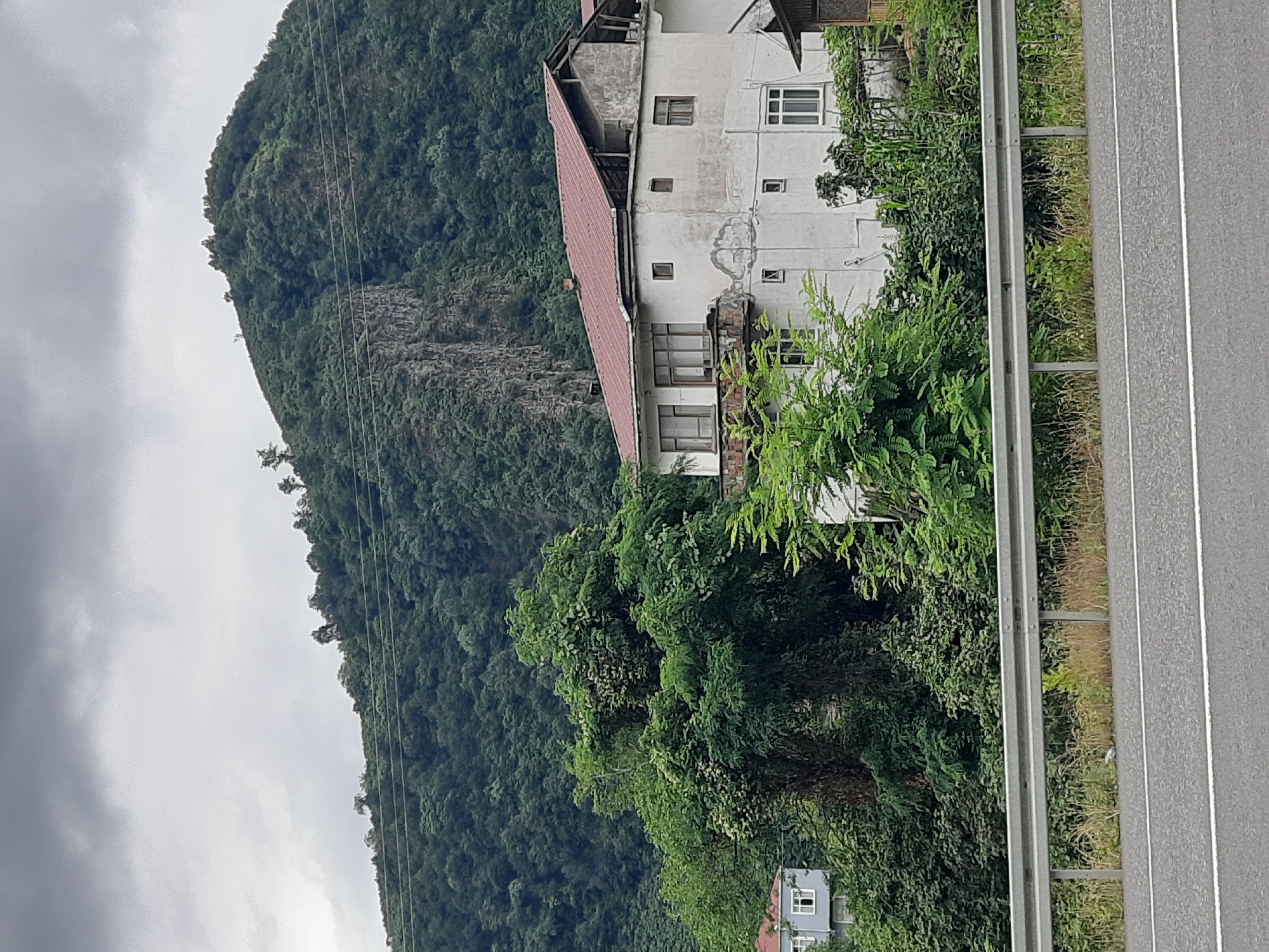 The image depicts a hillside residential area in Ayvacık, Turkey, under a cloudy sky. In the foreground, a paved road with white lane markings runs horizontally across the frame. A metal guardrail separates the road from the embankment. Behind the guardrail, dense green vegetation and trees dominate the midground. A white, two-story house with a red tiled roof is partially visible amidst the foliage. The house appears weathered, with some visible cracks in the plaster. To the left of this house, another building, possibly a lighter colored residential structure, is also partially obscured by trees. The background features a steep, densely forested mountain slope with a rocky outcrop on its side. The overall impression is a rural or semi-rural setting with a focus on the natural landscape and modest residential structures. There are no people visible in the image.