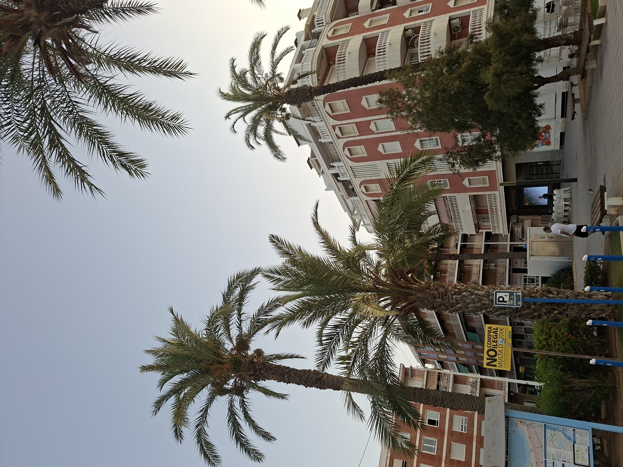 In Torrevieja, Spain, a low-angle shot captures a street scene dominated by lush palm trees against a clear sky. The buildings flanking the street are modern, multi-story structures with red and white facades, featuring balconies with ornate railings. A prominent yellow sign with black text reads "NO COMPRA ILEGAL MULTA D'200€" and references "Art. 28.5 de la Ordenancia de Convivencia Ciudadana," indicating a prohibition against illegal purchases with a fine of 200€. To the left, a blue informational kiosk displays a map of "PLAYA DEL CURA." A single person in a white shirt and black shorts stands on the paved walkway, near a wooden bench. The overall impression is of a well-maintained urban coastal environment bathed in soft daylight.