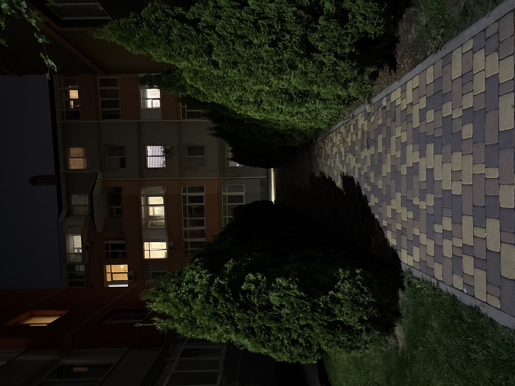 This nighttime image captures a quiet outdoor scene in Hatne, Ukraine, focusing on a residential building, dense greenery, and a paved walkway.
On the left, a multi-story building, likely an apartment complex, stands with various windows illuminated by warm interior lights. Some windows are dark, while others show drawn blinds or a glimpse into a room. An air conditioning unit is visible on the facade near one of the lit windows. The building's architecture suggests a modern or post-Soviet style.
A significant portion of the frame is dominated by a lush, dark green hedge or row of well-maintained evergreen bushes, possibly thuja or cypress. These bushes form a dense wall, separating the building area from the walkway and casting shadows across the path due to an unseen light source.
To the right, a patterned walkway, paved with rectangular interlocking concrete pavers, recedes into the distance. The pavers are laid in an alternating pattern of lighter beige/yellow and darker grey/brown tones. Alongside the path, a strip of green grass is visible.
The scene is devoid of people or activity, conveying a sense of stillness and calm. The dark sky indicates it is night, and the artificial lights from the building windows are the primary source of illumination, highlighting parts of the scene. No discernible text is visible in the image.