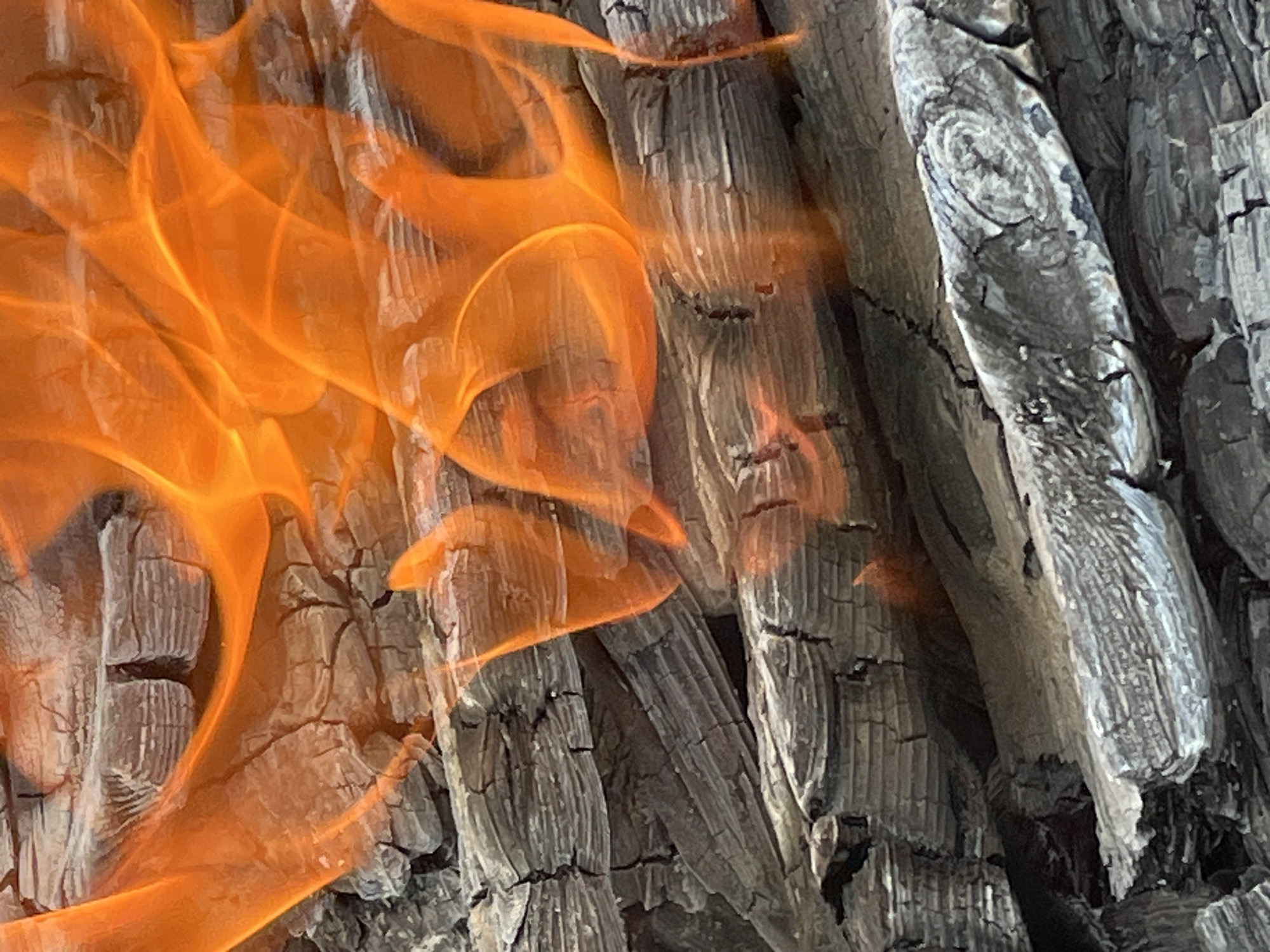 The image displays a close-up view of burning wood. The wood is heavily charred and appears to be in various stages of combustion, with some pieces exhibiting a cracked and brittle texture. Bright orange flames are actively consuming the wood, creating dynamic shapes and patterns across the frame. The background consists of more charred wood, forming a dense layer of fuel. The lighting is dominated by the intense glow of the fire, casting warm tones on the scene. There are no people or discernible elements of a city environment present. The location in Il'ino, Russia, is not visually represented in the image itself.