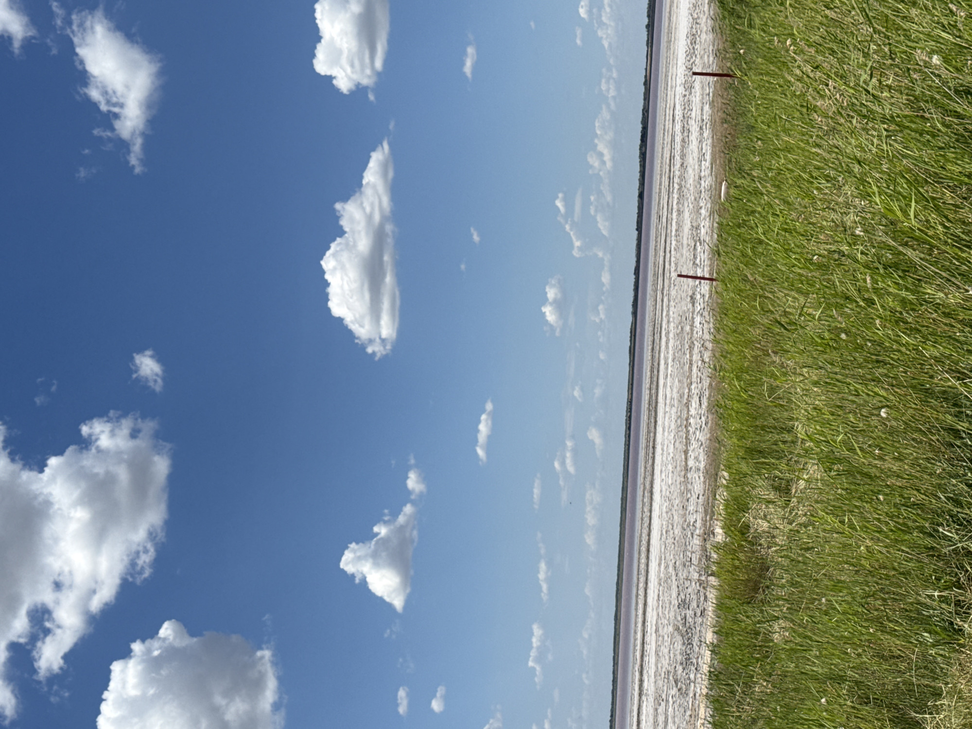 A wide, horizontal, eye-level shot captures a vast expanse of a salt lake under a bright blue sky dotted with fluffy white clouds. In the foreground, lush green grass grows in thick clumps, some wispy seed heads are visible. Two red marker posts stand in the grass, one slightly behind and to the left of the other. The salt lake stretches across the middle ground, appearing as a wide, flat, dry, white surface with some darker patches and subtle pinkish hues, suggesting mineral deposits and shallow water. Beyond the lake, a distant treeline is faintly visible. The scene is natural and serene, with no people or animals present. The location is identified as Бурсоль, Russia.