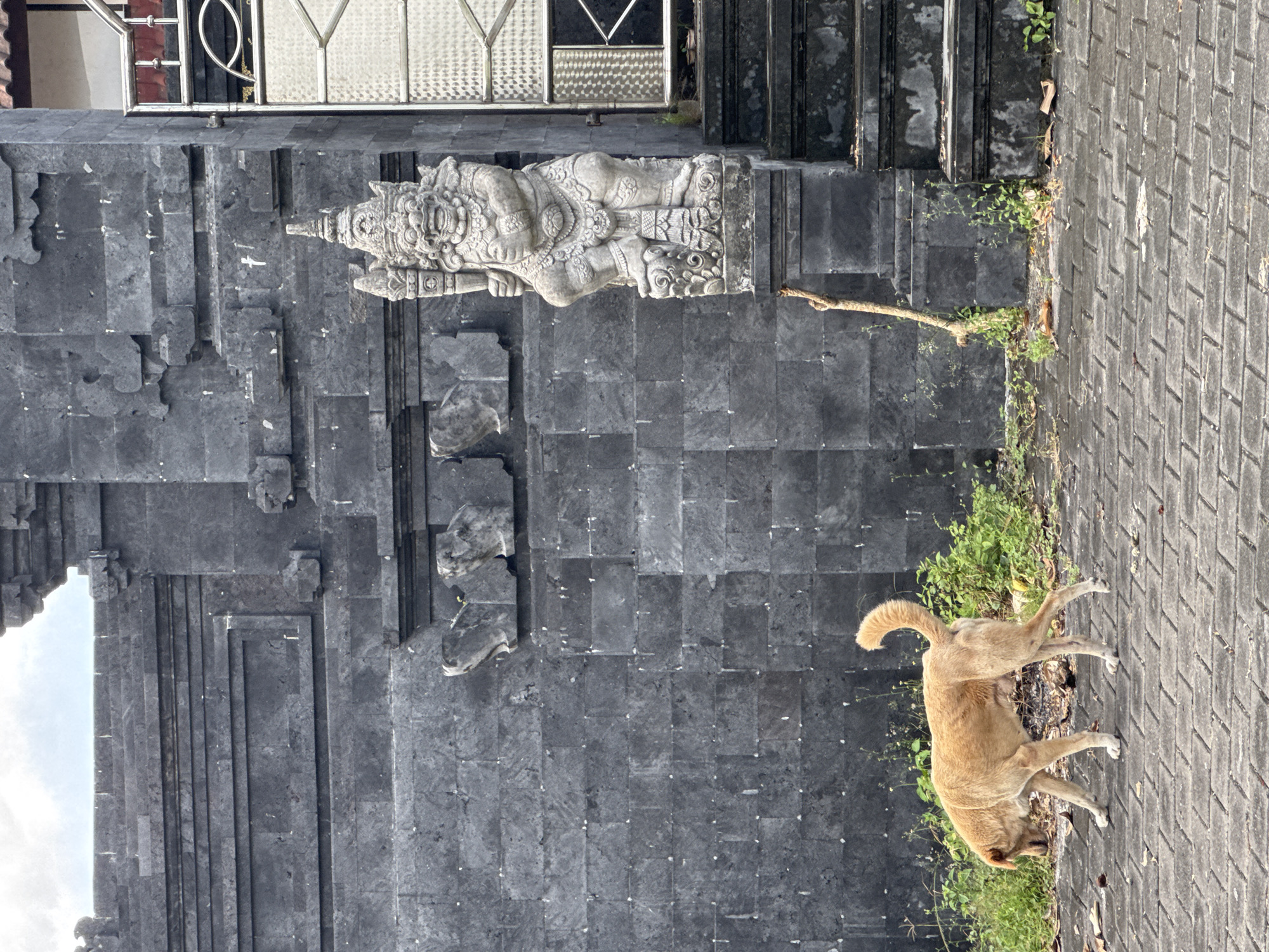 A tan-colored dog stands on a brick-paved surface next to a stone temple structure in Kuta Selatan, Indonesia. The temple features a stone sculpture of a reclining figure and a dark stone wall. Vegetation grows at the base of the wall and on the brick pavement. A set of steps is visible above the temple sculpture.