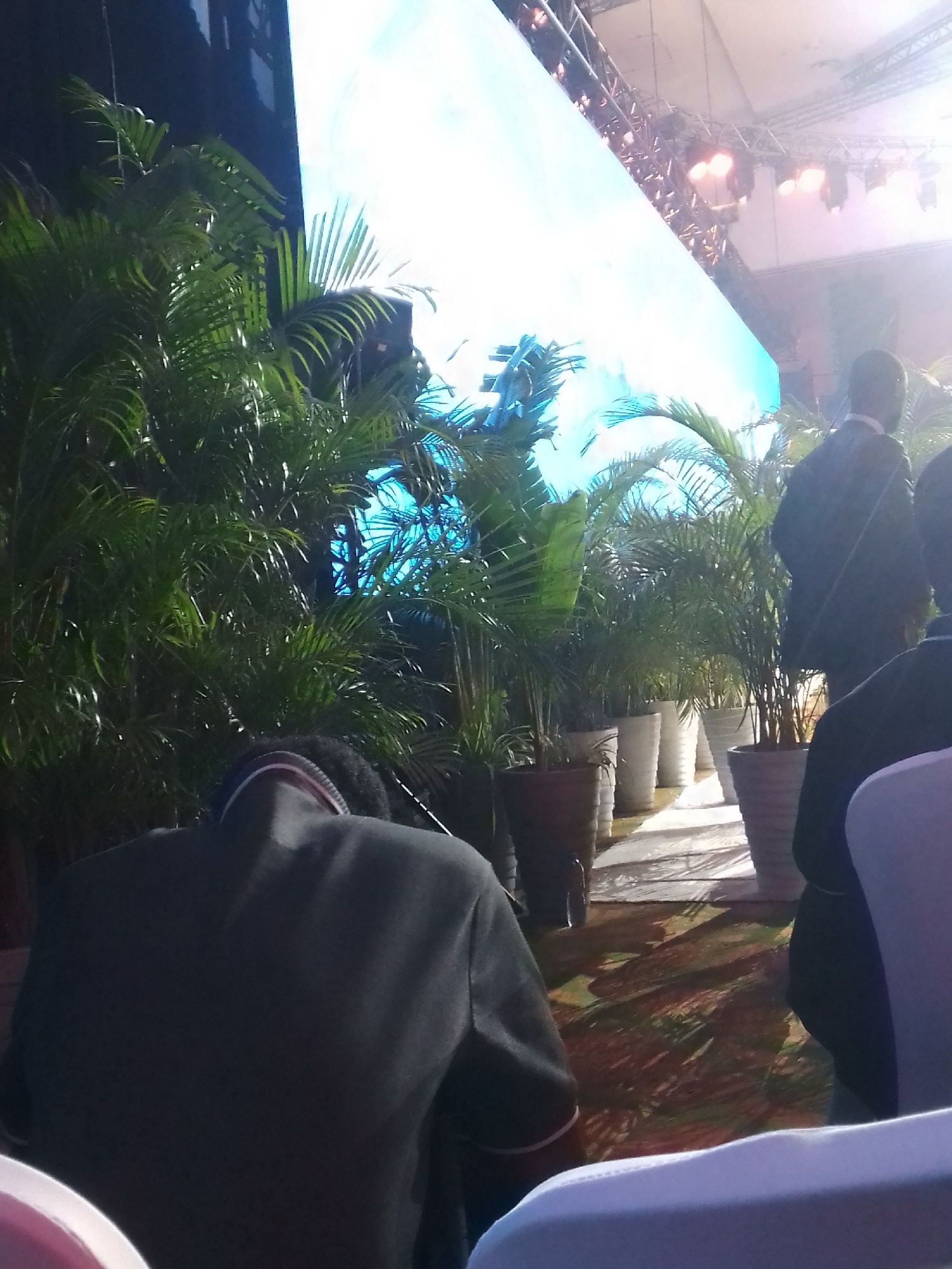 The photograph captures a scene at an event, likely a conference or presentation, held indoors in an unknown location within the city of Unknown, Unknown. Dominating the background is a large, bright screen displaying a light blue image. Stage lighting and rigging are visible above the screen. Potted plants, arranged in rows, line the stage area, adding a touch of nature to the setting. Several individuals are present, some standing and others seated. The backs of people seated in chairs are visible in the foreground. A person in a dark suit stands to the right of the frame. The carpet on the floor features a floral or patterned design. The setting suggests a formal event with a focus on visual presentation.
