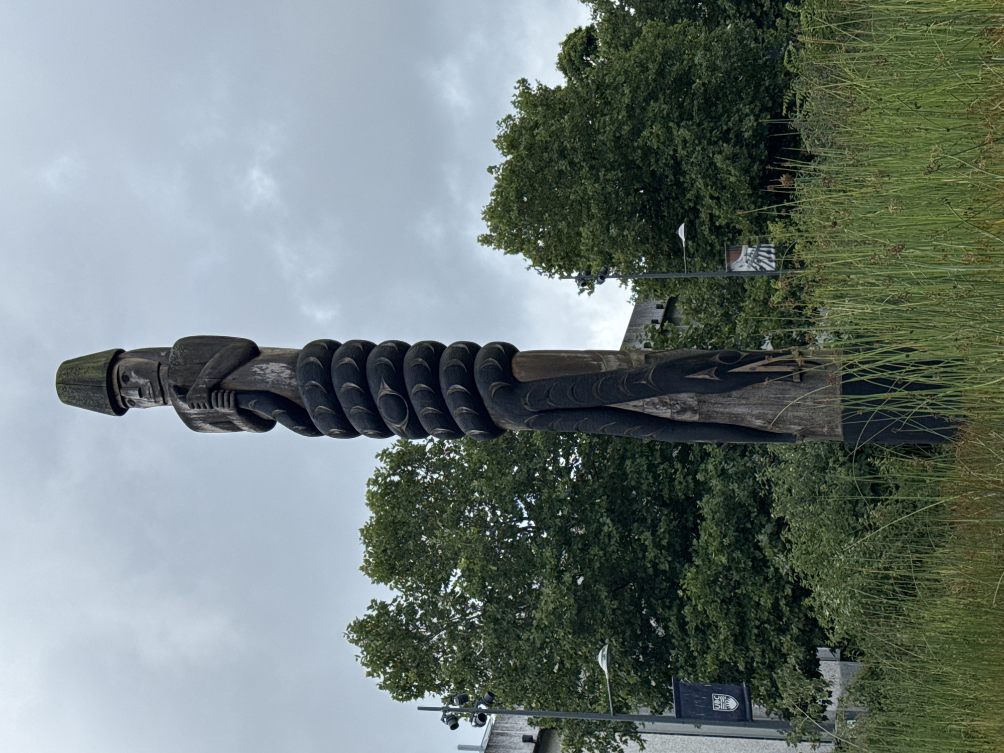 This is a full-shot, eye-level, outdoor photograph of a wooden totem pole with a carved human figure at the top, wearing a conical hat. The totem pole is dark brown and is wrapped by a large, black, serpentine figure with carved eyes and scales. The totem pole is situated in a grassy, overgrown area with tall reeds in the foreground. Behind the totem pole are lush green trees and a modern building with banners that appear to read "UBC". The sky is overcast and grey. The totem pole is likely located on the University of British Columbia campus in Vancouver, Canada, given the "UBC" banners and the style of the totem pole, which is reminiscent of Indigenous art found in the Pacific Northwest. There are no people visible in the image.