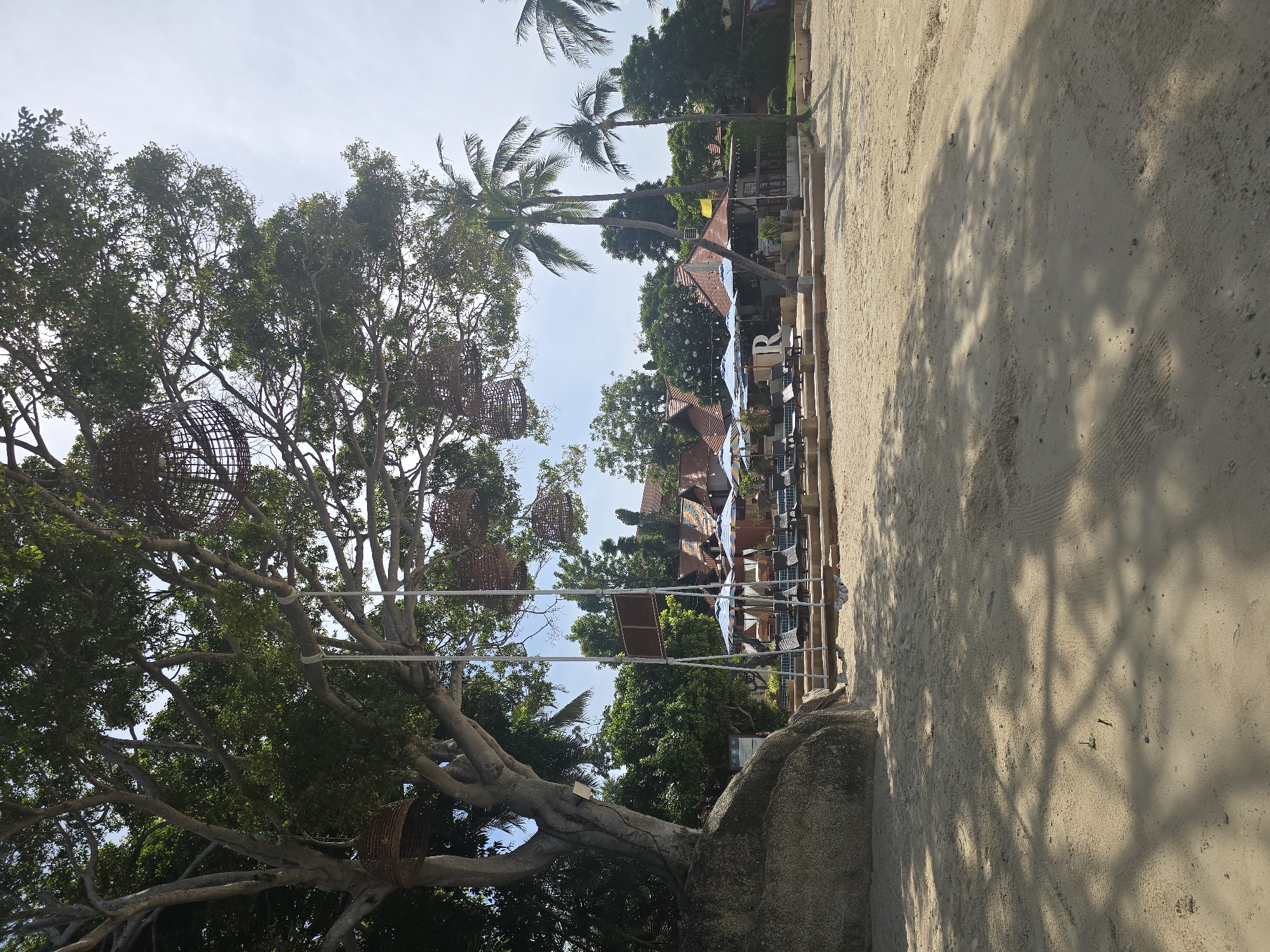 The image depicts a beach scene in Baan Chaweng Noi, Thailand. In the foreground, a sandy beach stretches out, with shadows cast by unseen trees. A large tree with a thick trunk and sprawling branches dominates the left side of the frame, with woven basket-like light fixtures hanging from its limbs. A swing made of rope hangs from one of the tree branches. Behind the tree, a large rock formation is visible.
In the mid-ground, a paved area with multiple lounge chairs and blue and white striped umbrellas suggests a resort or dining area. Further back, a building with a reddish-brown tiled roof and several palm trees are present. The sky above is bright and partly cloudy. The overall impression is that of a tropical beach resort on a sunny day.
