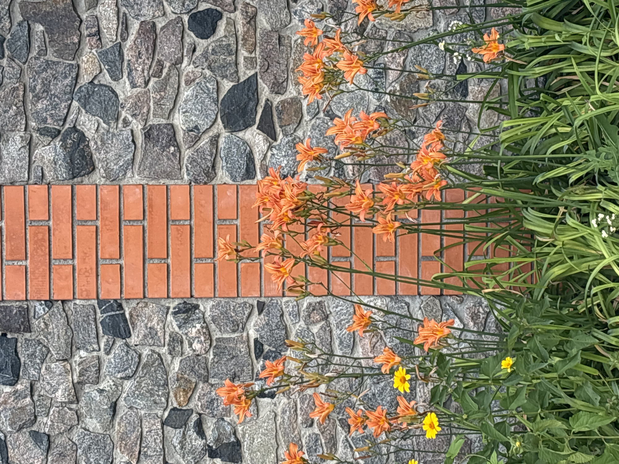This is a photograph of a garden in Bila Tserkva, Ukraine, featuring a stone wall with a central brick pillar. A cluster of bright orange lilies, along with some yellow flowers and lush green foliage, grows in front of the wall. The lilies are in various stages of bloom, with some fully open and others still in bud. The stone wall is constructed of irregular grey stones of varying sizes, mortared together. The brick pillar is made of standard-sized red bricks laid in a running bond pattern. The lighting suggests it is daytime, with no prominent shadows indicating direct sunlight. No people or animals are visible in the frame.