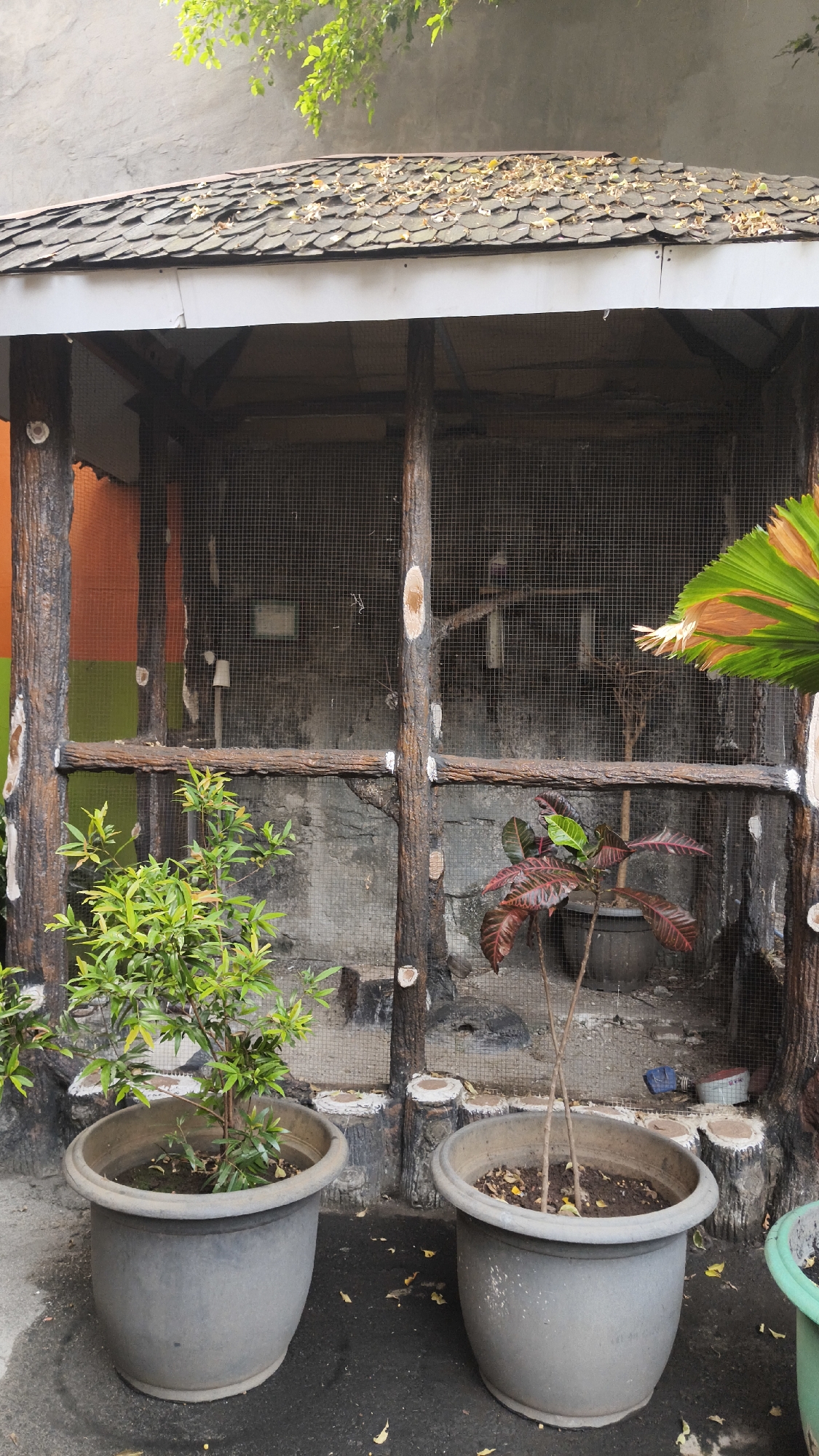 This image shows an outdoor scene in South Jakarta, Indonesia, featuring a bird enclosure with a shingled roof. In front of the enclosure are two large, gray potted plants. The plant on the left is lush and green, while the plant on the right has reddish-brown leaves. The enclosure itself is made of wire mesh and wooden supports, with what appears to be a concrete or stone wall behind it. Inside the enclosure, a bird can be seen perched on a branch. The ground in front of the enclosure is paved and scattered with fallen leaves. A portion of a large, green and orange fanned leaf is visible in the upper right corner of the frame.