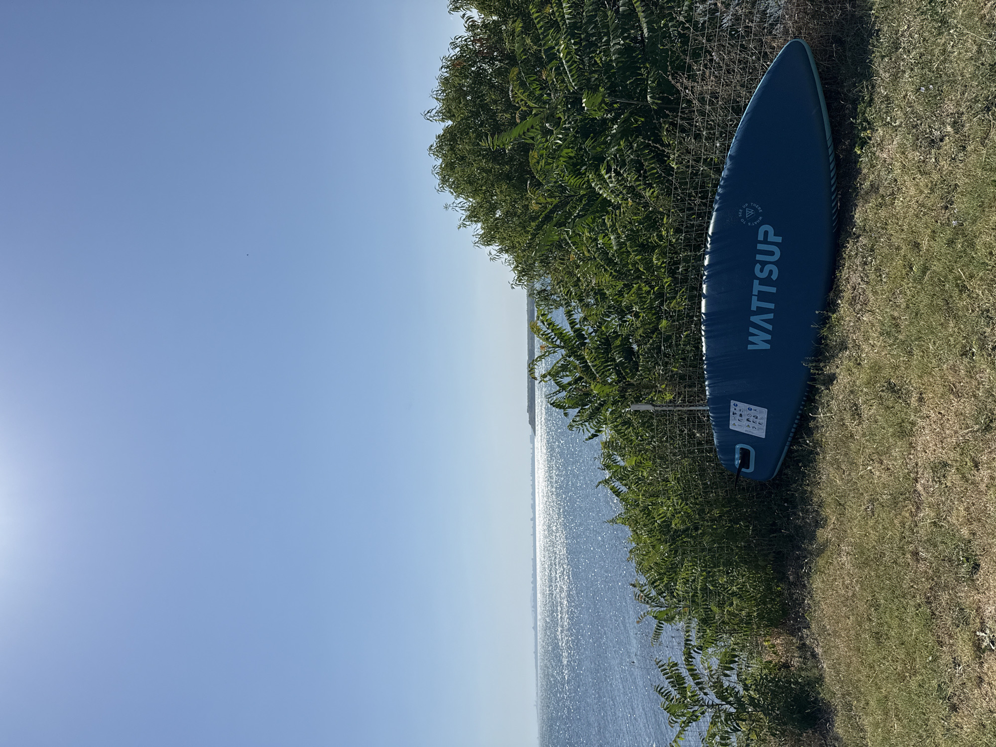 In Pomorie, Bulgaria, a blue inflatable stand-up paddleboard (SUP) with the brand name "WATTSUP" printed on it rests on dry grass next to a wire fence. The SUP is positioned horizontally in the foreground, pointing towards the right of the frame. Behind the fence, lush green foliage borders a wide expanse of sparkling blue water. The sun is bright, casting a strong glare on the water's surface. In the distance, a faint city skyline is visible along the horizon, under a clear, pale blue sky. The scene captures a sunny day by the sea, with recreational equipment prepared for use.