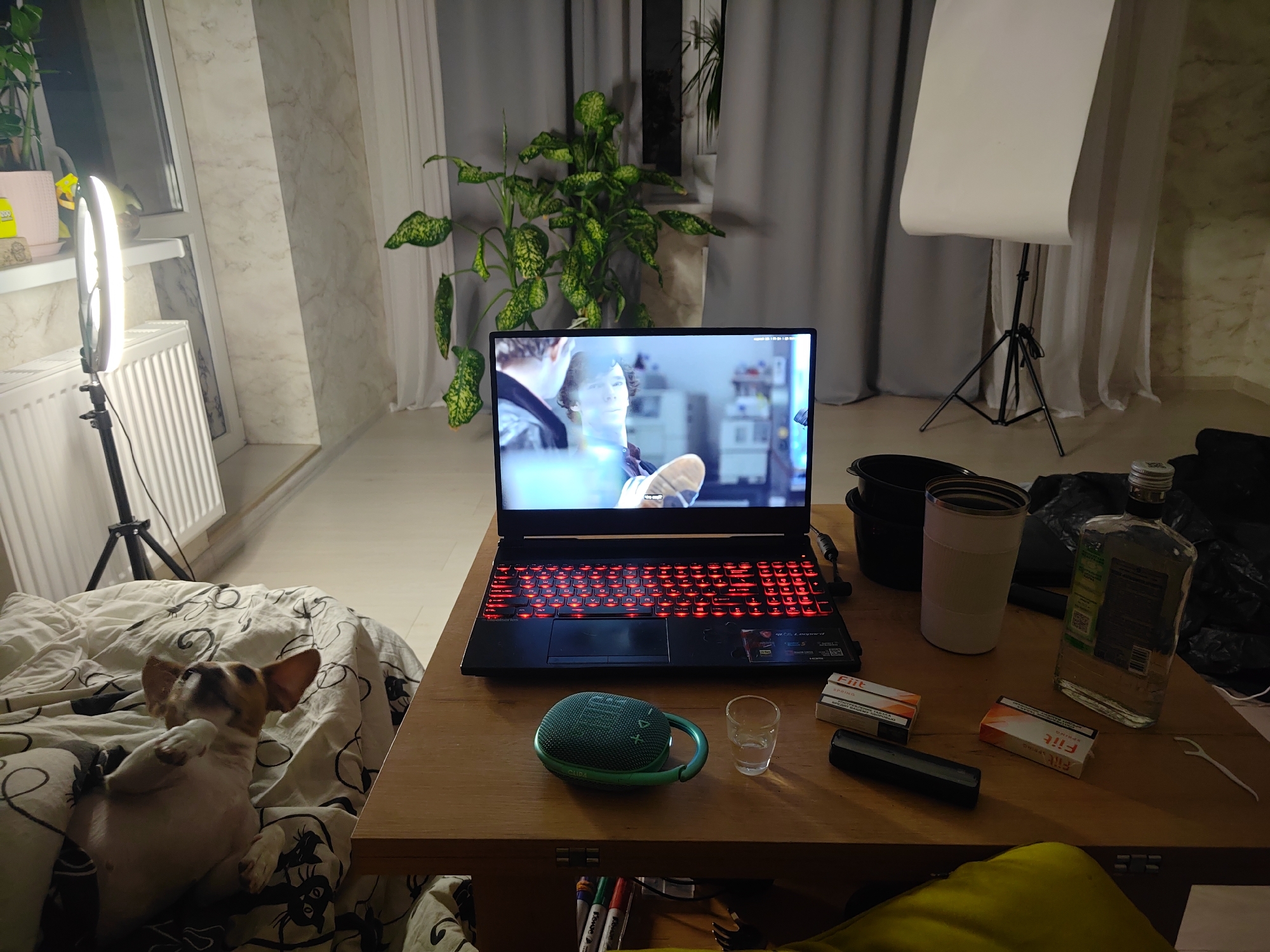 The image depicts a dimly lit room, likely a living space, with a laptop open on a wooden table. The laptop screen displays a scene from a movie, and its keyboard is illuminated with red backlighting. On the table, in front of the laptop, are a small green portable speaker, a shot glass, two packs of cigarettes, a black electronic device, a roll of dental floss, and a glass bottle containing a clear liquid, possibly alcohol. To the left of the table, a small dog is lying on a bed or sofa covered with a patterned duvet. In the background, a large potted plant stands near a window with sheer curtains. A ring light on a tripod is positioned near the window, and to the right, a large white sheet is draped over a tripod, resembling a backdrop. The overall impression is of a relaxed, personal space, possibly used for entertainment or content creation. There are no visible indicators of the image being specifically located in Krasnodar, Russia.