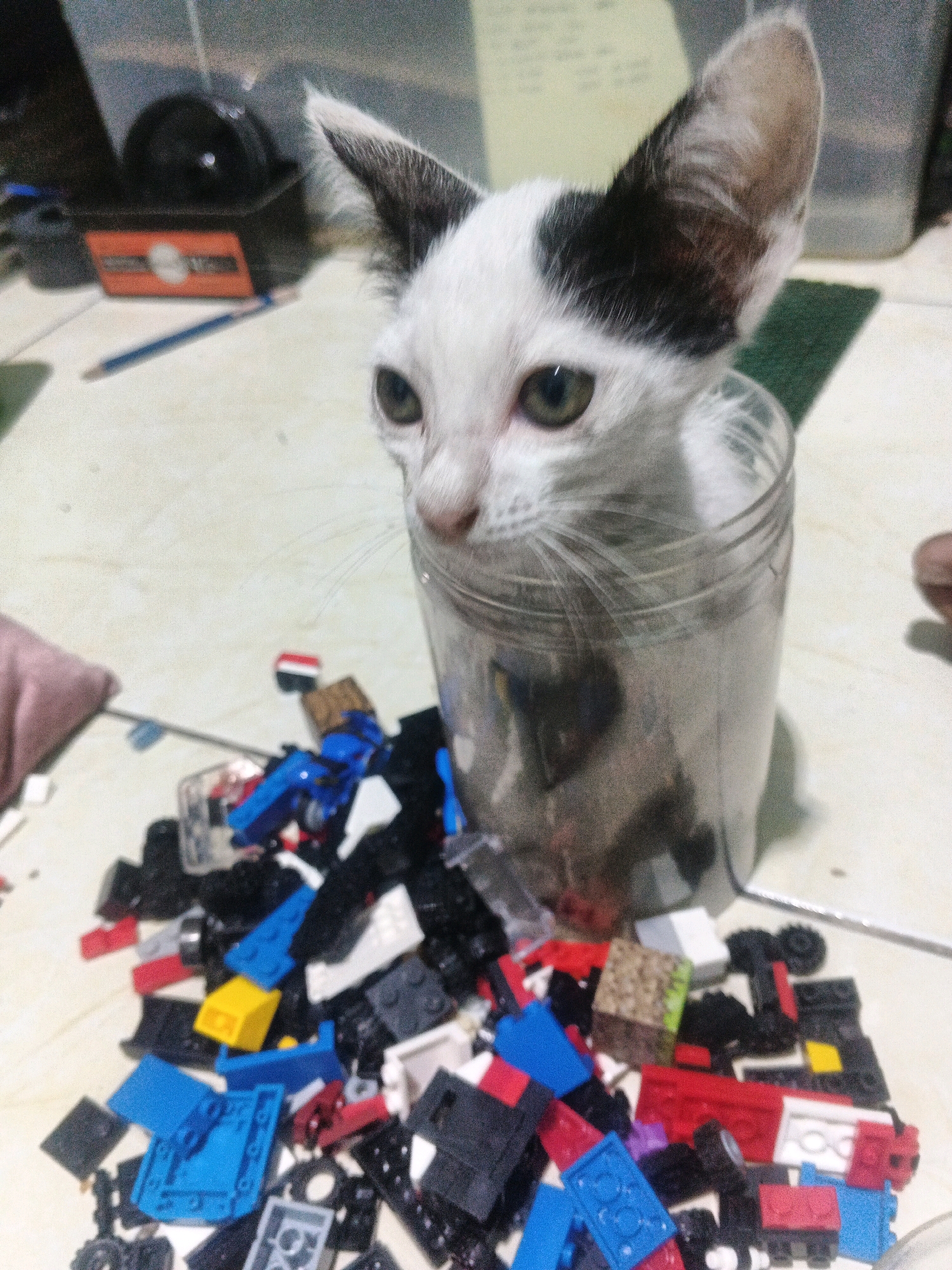 A black and white kitten is perched inside a clear glass jar, its head and front paws visible. The kitten's eyes are open, and it appears to be looking slightly to its left. The jar is filled with a jumble of colorful plastic building blocks, primarily red, blue, yellow, and black. These blocks are scattered around the base of the jar, forming a chaotic pile. The background is a light-colored, textured surface, possibly a floor or table, with some blurry objects in the distance, including what appears to be an orange and black electronic device and a dark container. The scene is indoors.
