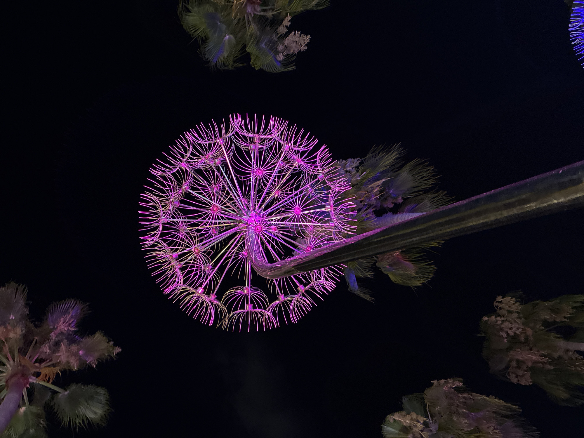 An artistic, dandelion-shaped sculpture, illuminated with pink and purple lights, dominates the center of the frame against a dark night sky. The sculpture is supported by a thick, metallic stem that curves upwards. Surrounding the sculpture are several palm trees, their fronds visible against the dark background, some also exhibiting faint purple lighting. This scene is located in the city of Alanya, Turkey.
