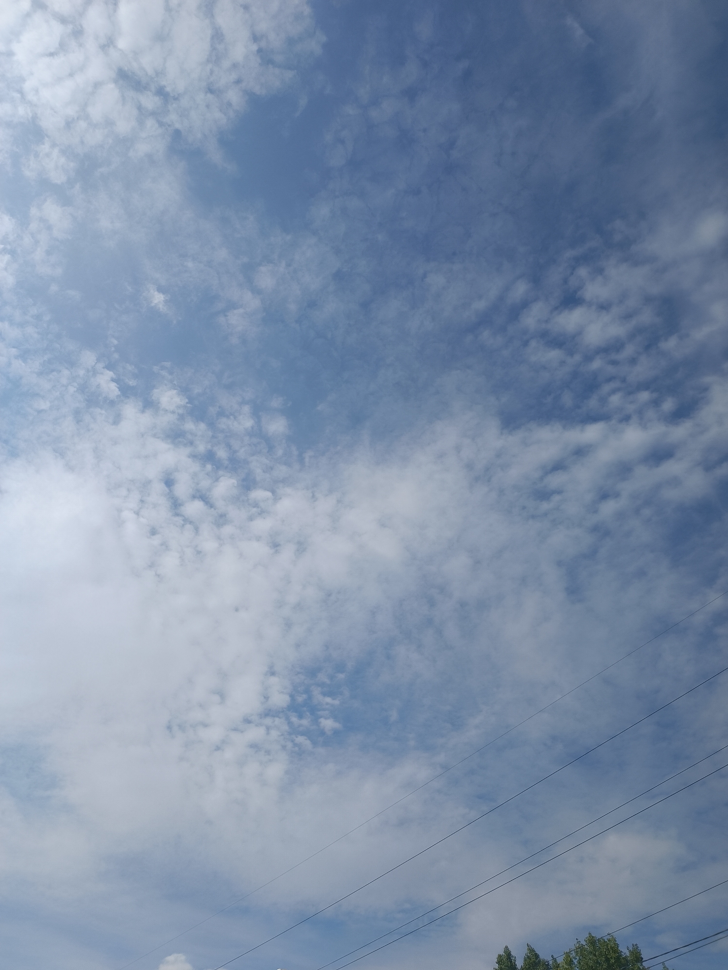 The image is an outdoor, low-angle shot of a cloudy blue sky. There are thin, dark, diagonal power lines in the lower right quadrant of the image, and some green foliage is visible at the very bottom of the frame. The clouds are scattered and wispy, with some denser white clouds in the lower left and more spread-out, lighter clouds higher up. The lighting suggests it is daytime. There are no people, animals, or structures visible beyond the power lines and foliage.