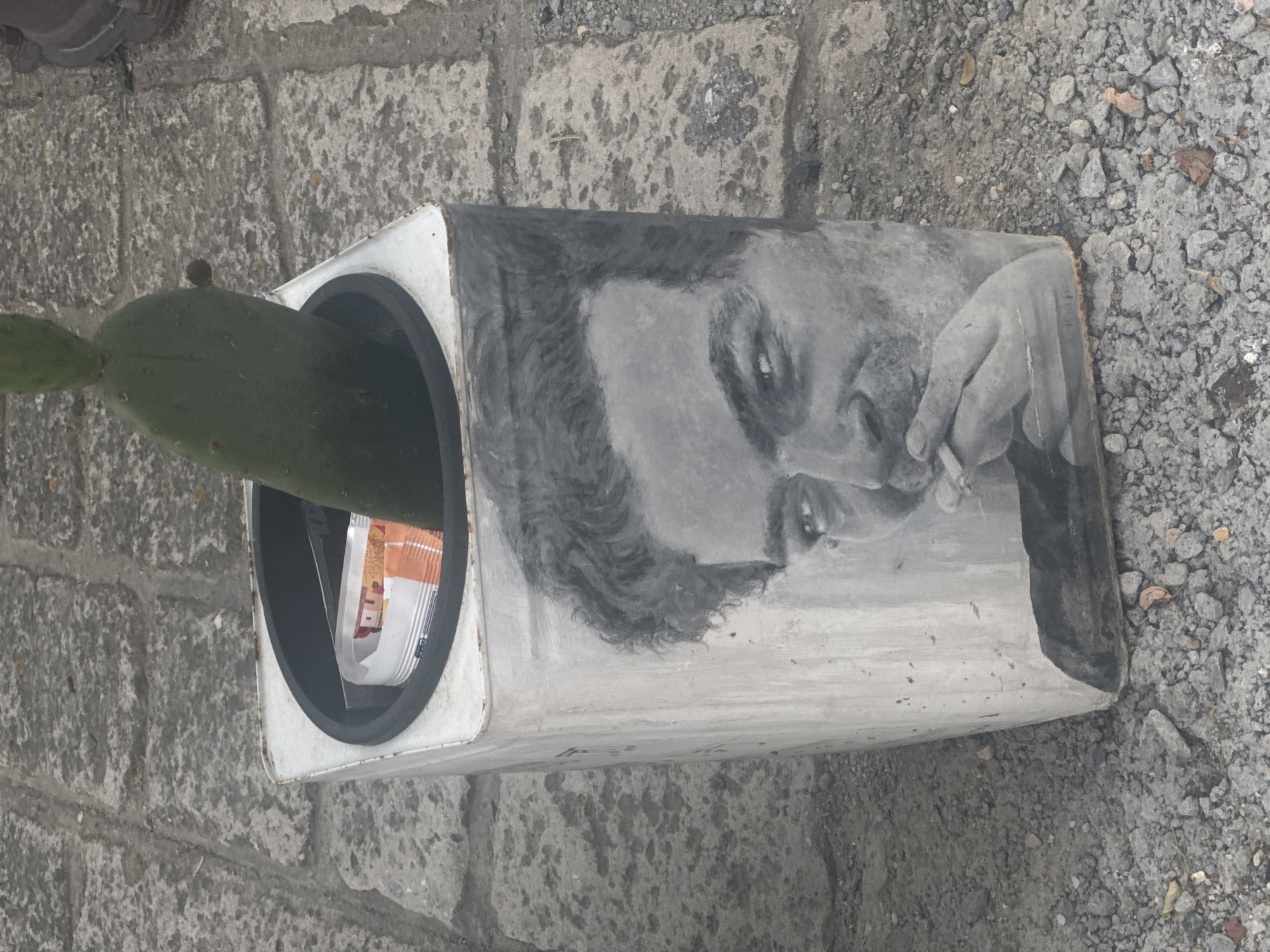 The image shows a close-up, eye-level, outdoor shot of a rectangular, metal trash can. The trash can is adorned with a black and white mural of a man's face, with his hand holding a cigarette near his mouth. Inside the trash can, a prickly pear cactus is planted, and some crumpled paper money is visible. The trash can is situated on a cobblestone and gravel surface. The image was taken in Kassandra Municipal Unit, Greece.