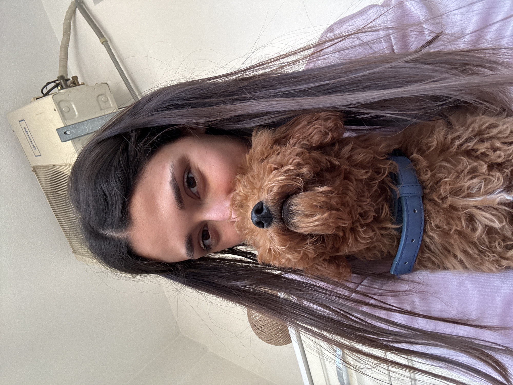 An indoor, close-up scene captured in Sutomore, Montenegro, features a young adult female and a small, reddish-brown, curly-haired dog. The female, with long dark hair parted in the middle, presents her upper face, including her eyes and eyebrows, looking towards the camera. Her lower face, specifically her mouth and nose, is obscured by the head of the dog, which she holds directly in front of her. The dog wears a blue leather collar and displays a black nose. The female is wearing a light-colored, long-sleeved garment. In the upper right background, a "gorenje" brand air conditioning unit is mounted on a light-colored wall, displaying visible piping and a metal bracket. A partially visible, spherical woven light fixture or decorative object is suspended in the upper left background. The scene is brightly lit.