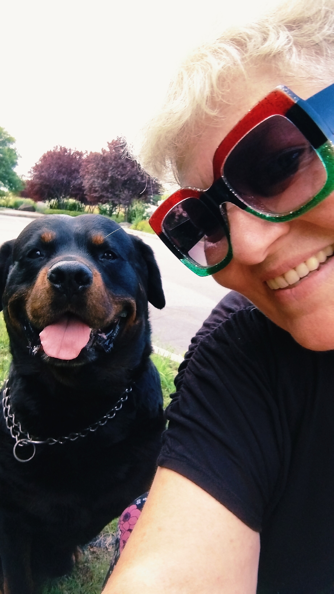 In Horishni Plavni, Ukraine, a Rottweiler sits on grass next to a person wearing sunglasses and a black shirt. The dog's tongue is out and its mouth is open. The person is smiling and their sunglasses have colorful frames. Trees are visible in the background.