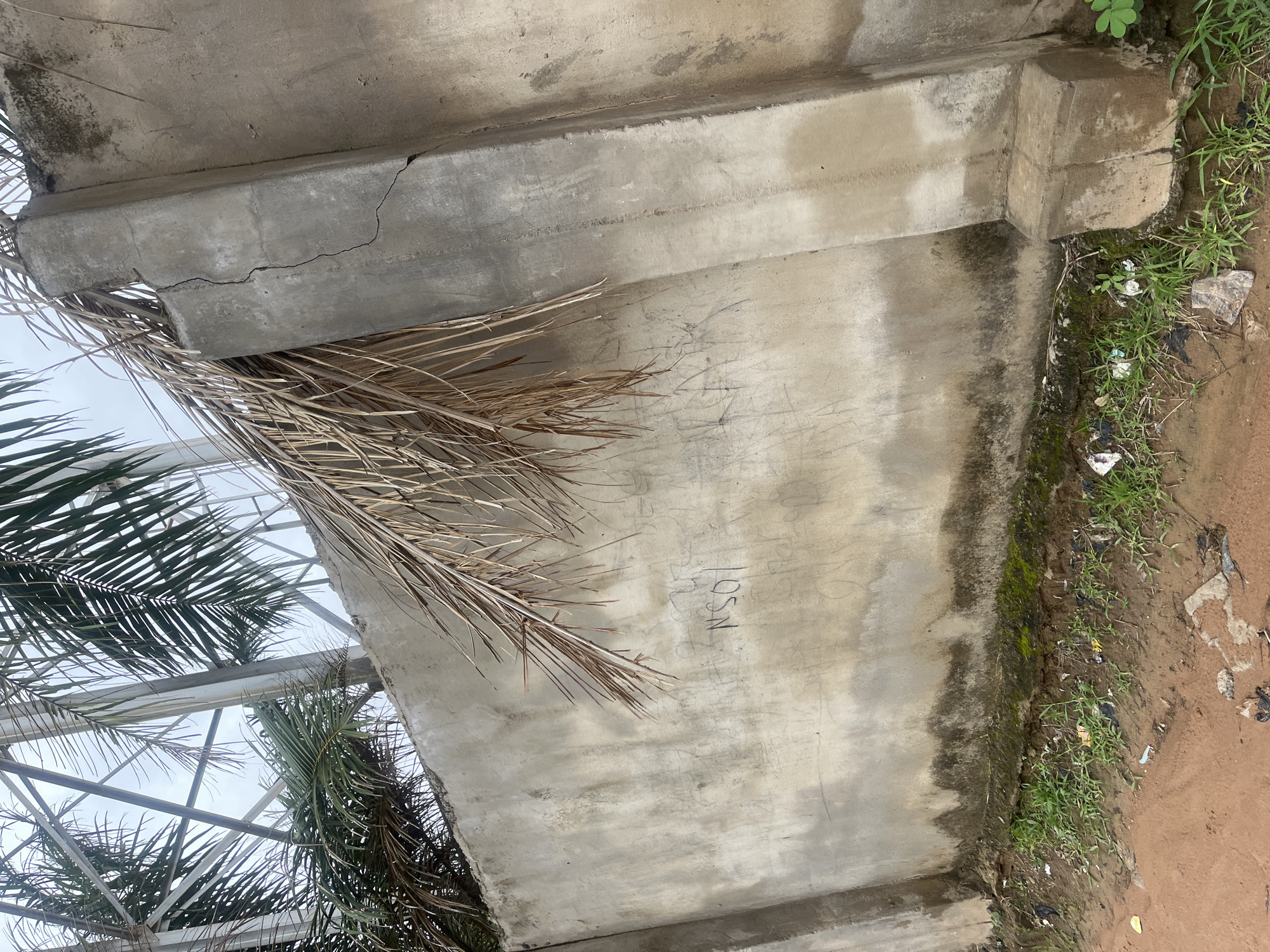 The image depicts a weathered concrete wall in Jalingo, Nigeria. The wall shows signs of age and neglect, with a prominent crack running vertically down a concrete pillar on the right side. Faded graffiti is visible on the wall's surface, including what appears to be "NSO" written in black. Palm fronds, some dried and brown, hang over the top of the wall, casting shadows. The ground at the base of the wall is a mixture of dirt, sparse green grass, and scattered litter, suggesting an outdoor, possibly urban or semi-urban, environment. In the background, metal structures and more palm foliage are visible against an overcast sky.