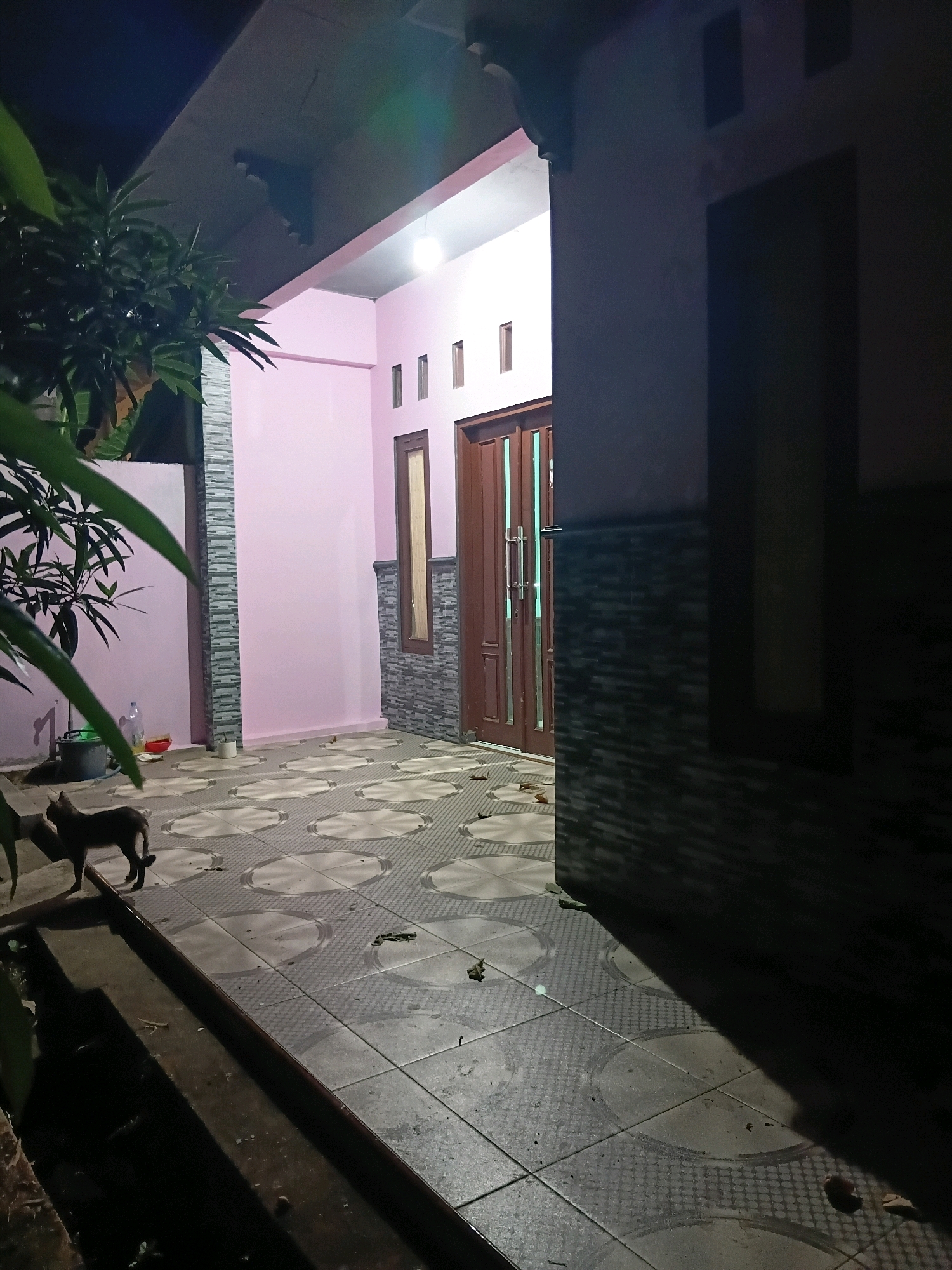 The image depicts the exterior of a house at night, likely in Cikal, Indonesia. A pink-walled house with brown wooden doors and windows is visible. The ground is paved with patterned tiles. Two cats are present on the tiled area. One cat, dark in color, is standing and looking towards the left of the frame, with its tail curved upwards. Another cat, partially visible and lighter in color, is positioned behind the first cat. A tree with green leaves is in the foreground on the left, obscuring a portion of the scene. In the background, a bright light is emanating from inside the house, illuminating the doorway. The overall impression is that of a quiet residential setting at night.