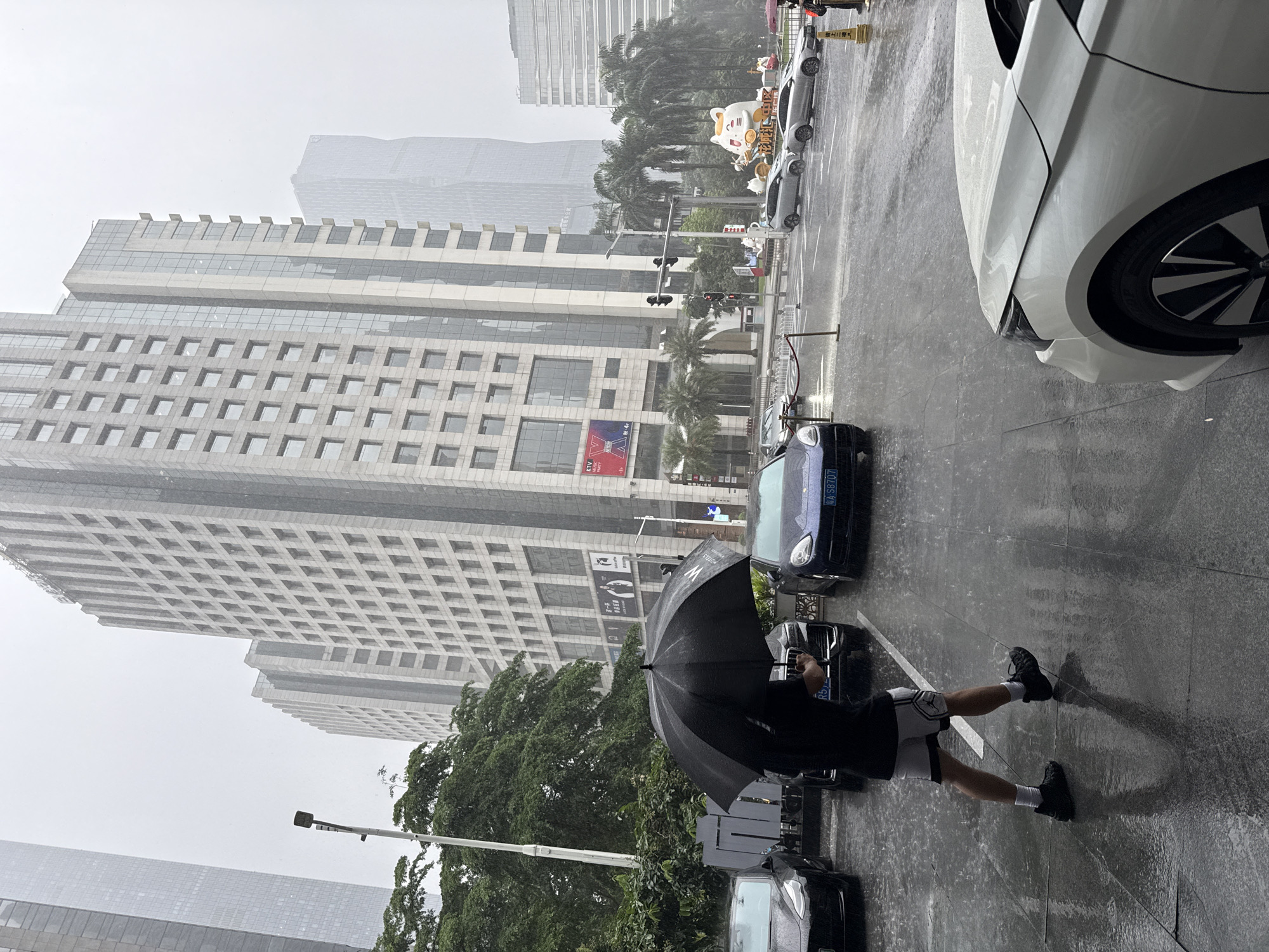 The image depicts a street scene in Tianhe District, China, during a heavy downpour. The wet asphalt reflects the overcast sky, with raindrops visible on the surface. In the foreground, a person is holding a black umbrella, shielding themselves from the rain. They are wearing a black t-shirt, white shorts with black trim, and black sneakers. The person appears to be walking or standing on the wet pavement, casting a shadow.
Several cars are present on the street. A white car is parked to the right, its front fender and wheel prominently featured. To the left and further down the street, a dark blue car is visible, with a license plate that reads "粤A S8707". Another dark-colored car is parked behind it.
The background is dominated by tall, modern buildings with distinctive architectural features, including numerous windows and repeating geometric patterns. Palm trees line the street, their fronds appearing lush despite the rain. In the distance, more skyscrapers rise into the hazy, overcast sky. A large, cartoonish white cat figure with gold coins is visible in the distance, possibly part of a street decoration or advertisement. Traffic lights and street lamps are also present.
The overall impression is one of a bustling urban environment being subjected to inclement weather. The time of day is indeterminate due to the overcast conditions, but the presence of streetlights and traffic lights suggests it is daytime. The rain is a significant element, affecting the appearance of the scene and necessitating the use of umbrellas. There is visible text on a sign on one of the buildings, partially obscured, which appears to be an advertisement. Another license plate shows "R5".