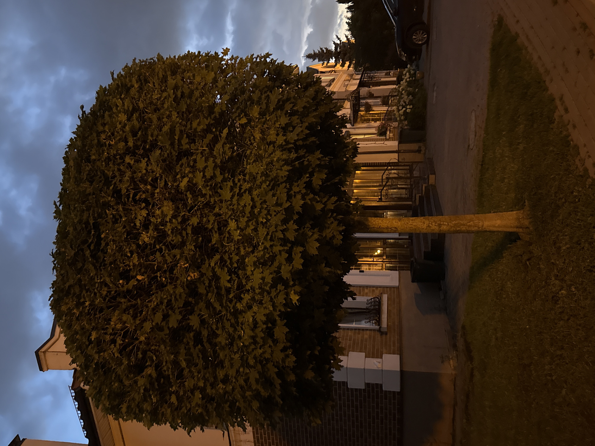 In the city of Lopatino, Russia, a meticulously shaped, spherical tree with dense, green foliage stands prominently in the foreground. The tree is illuminated by artificial lighting, casting shadows on the well-maintained grass in front of a two-story building. The building features a brick facade, white architectural details, and windows with ornate metal grilles. In the background, a dark-colored car is parked, and a tall evergreen tree is visible against a cloudy twilight sky. The scene appears to be an exterior view of a residential or commercial property.